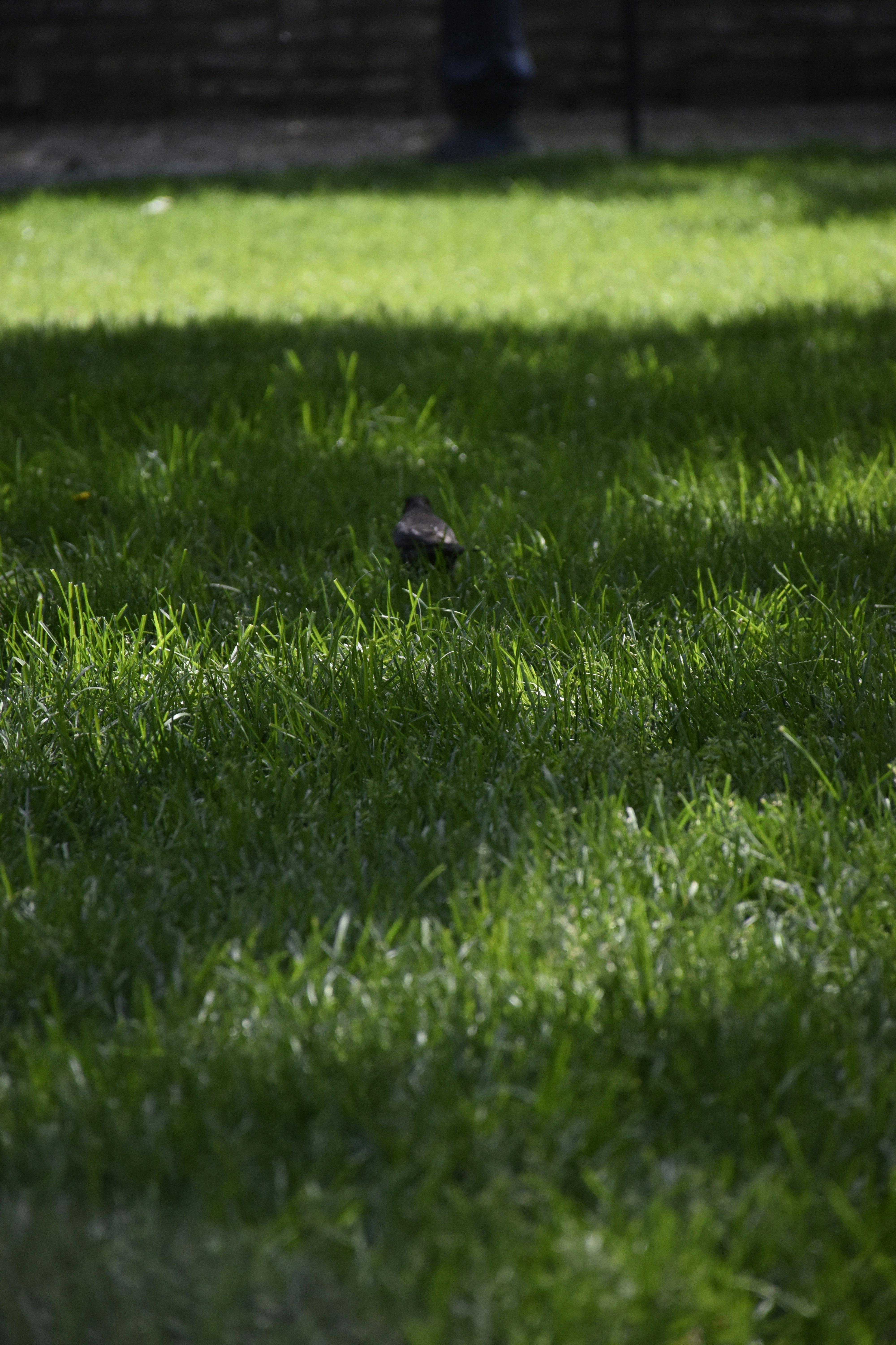 Photo by znphotogarphy