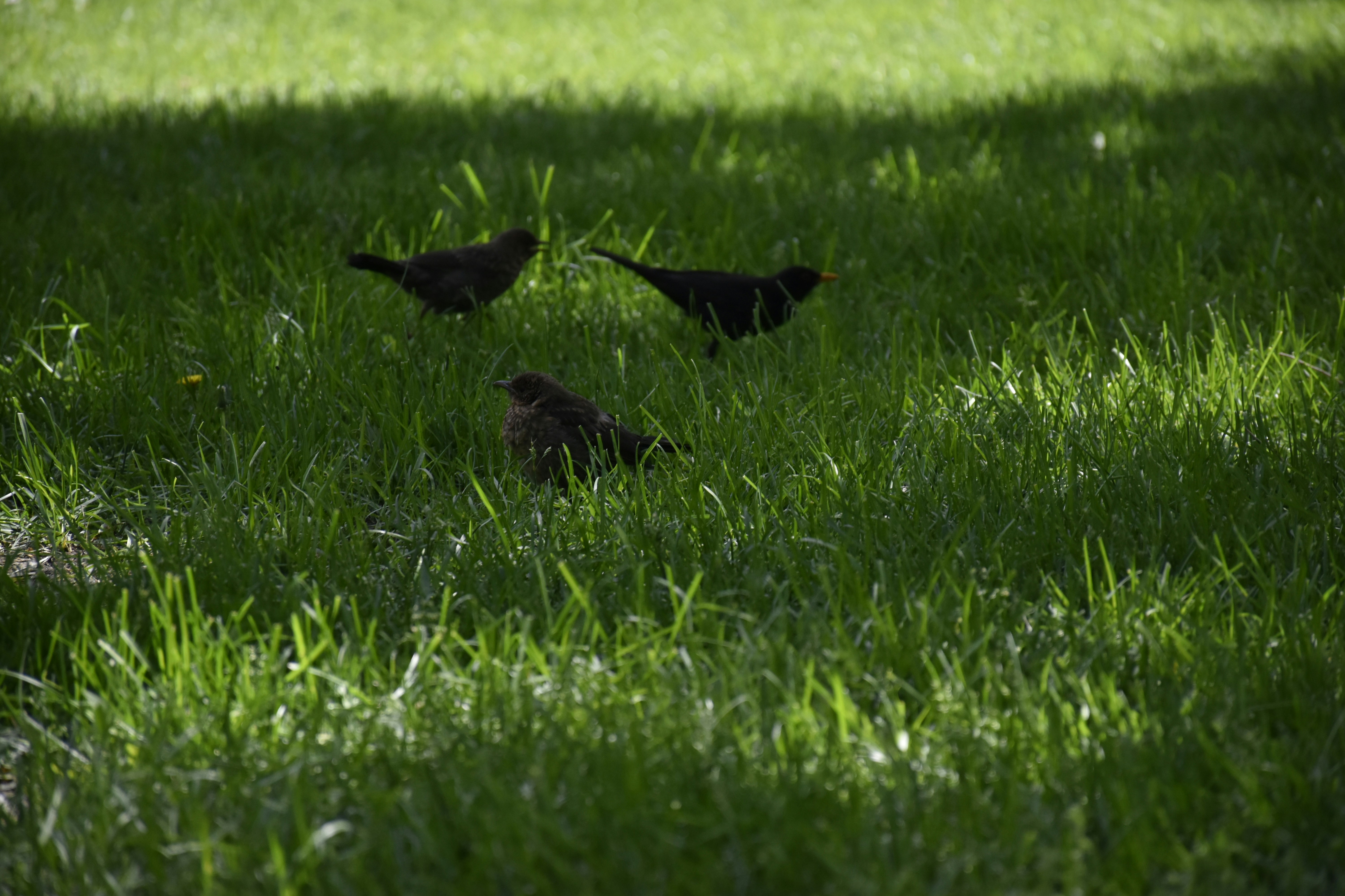 Photo by znphotogarphy