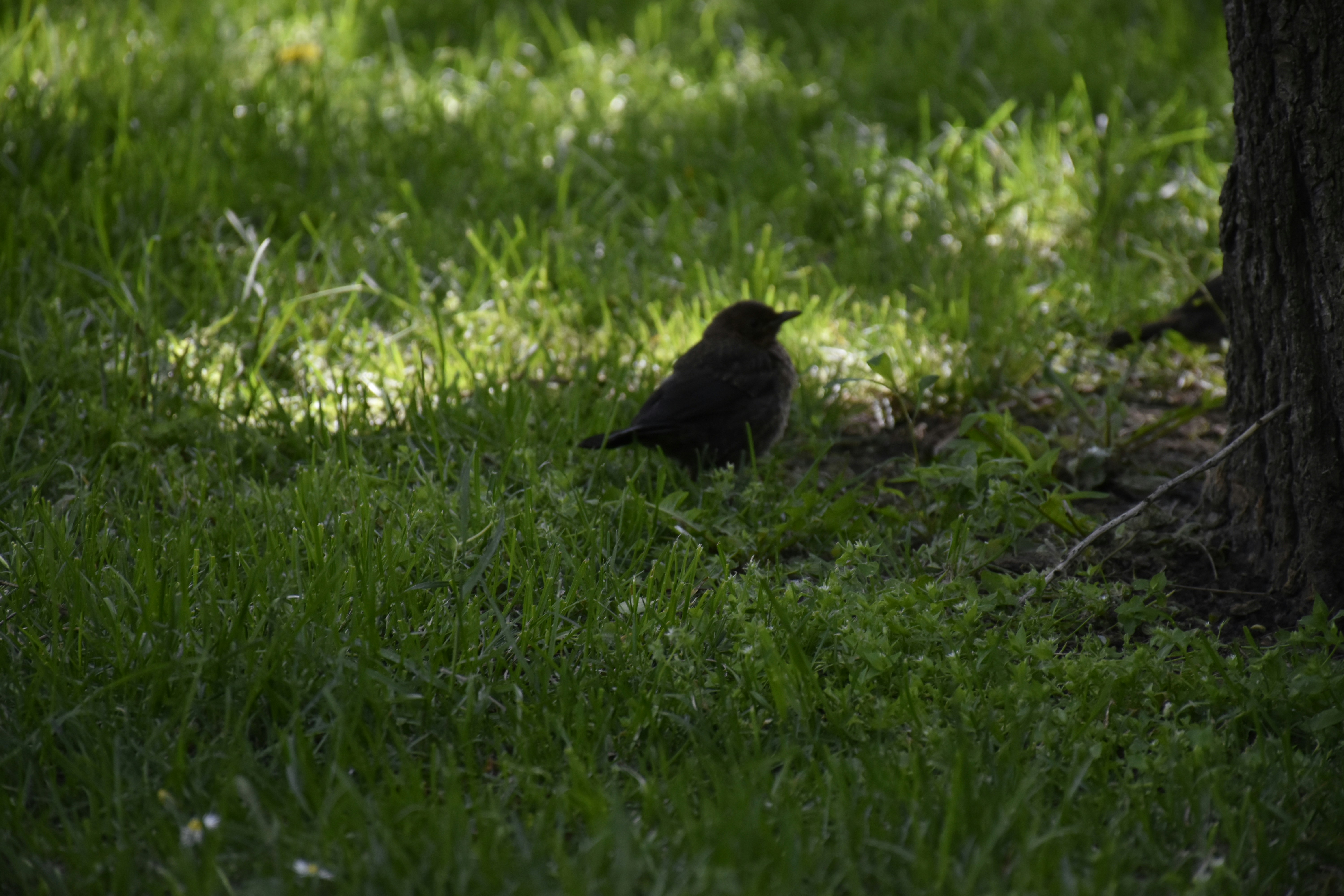 Photo by znphotogarphy