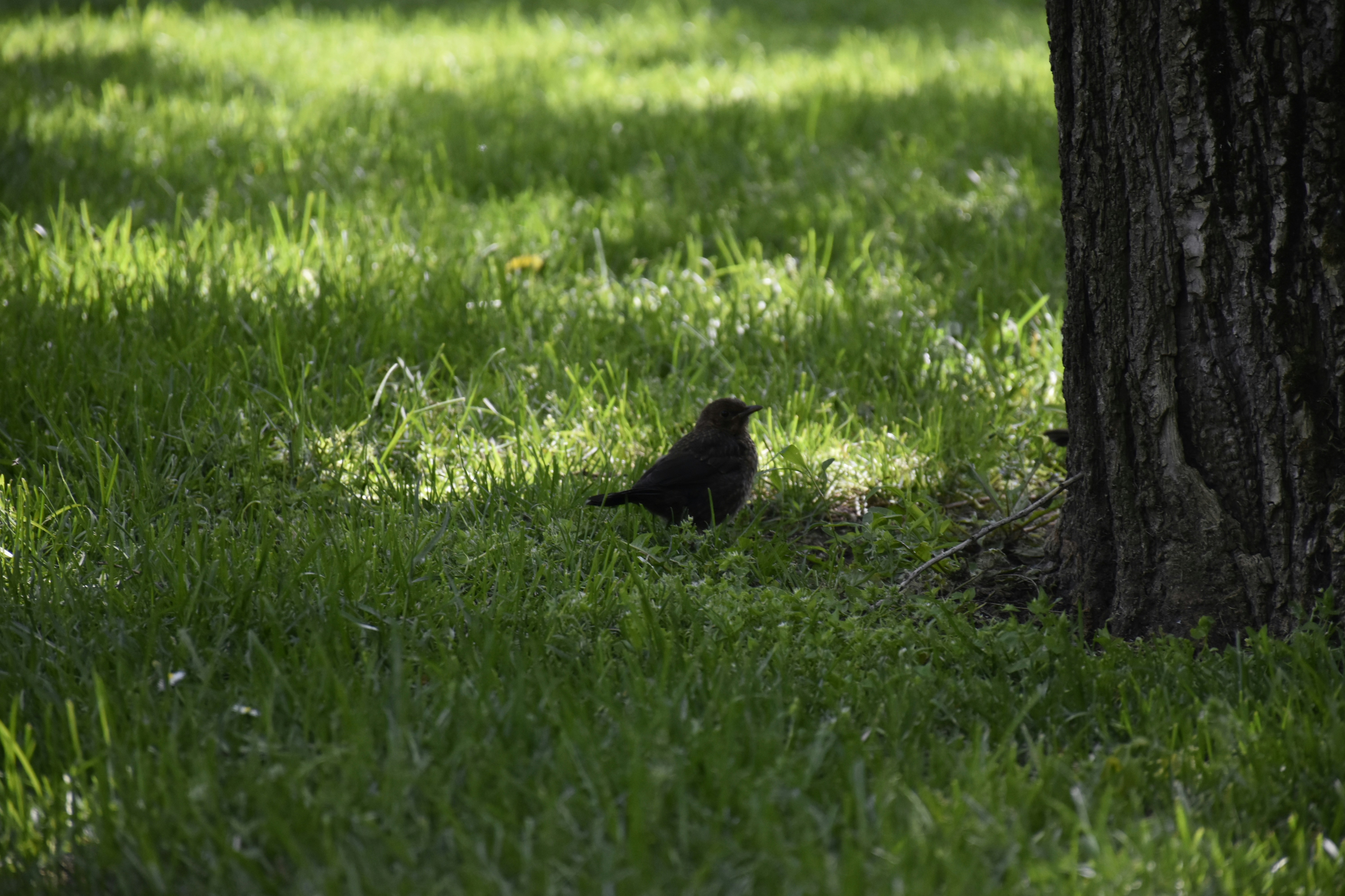 Photo by znphotogarphy