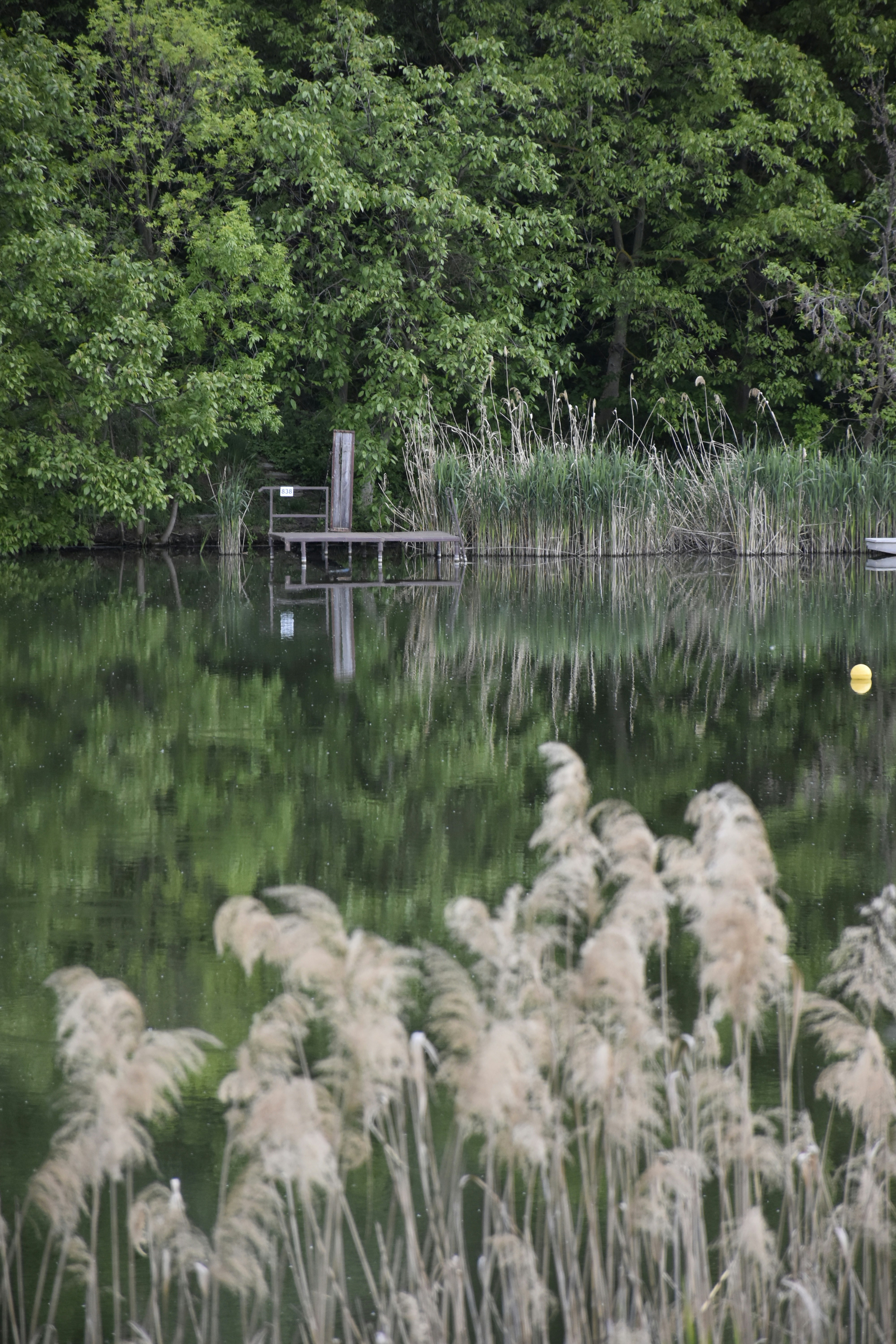 Photo by znphotogarphy