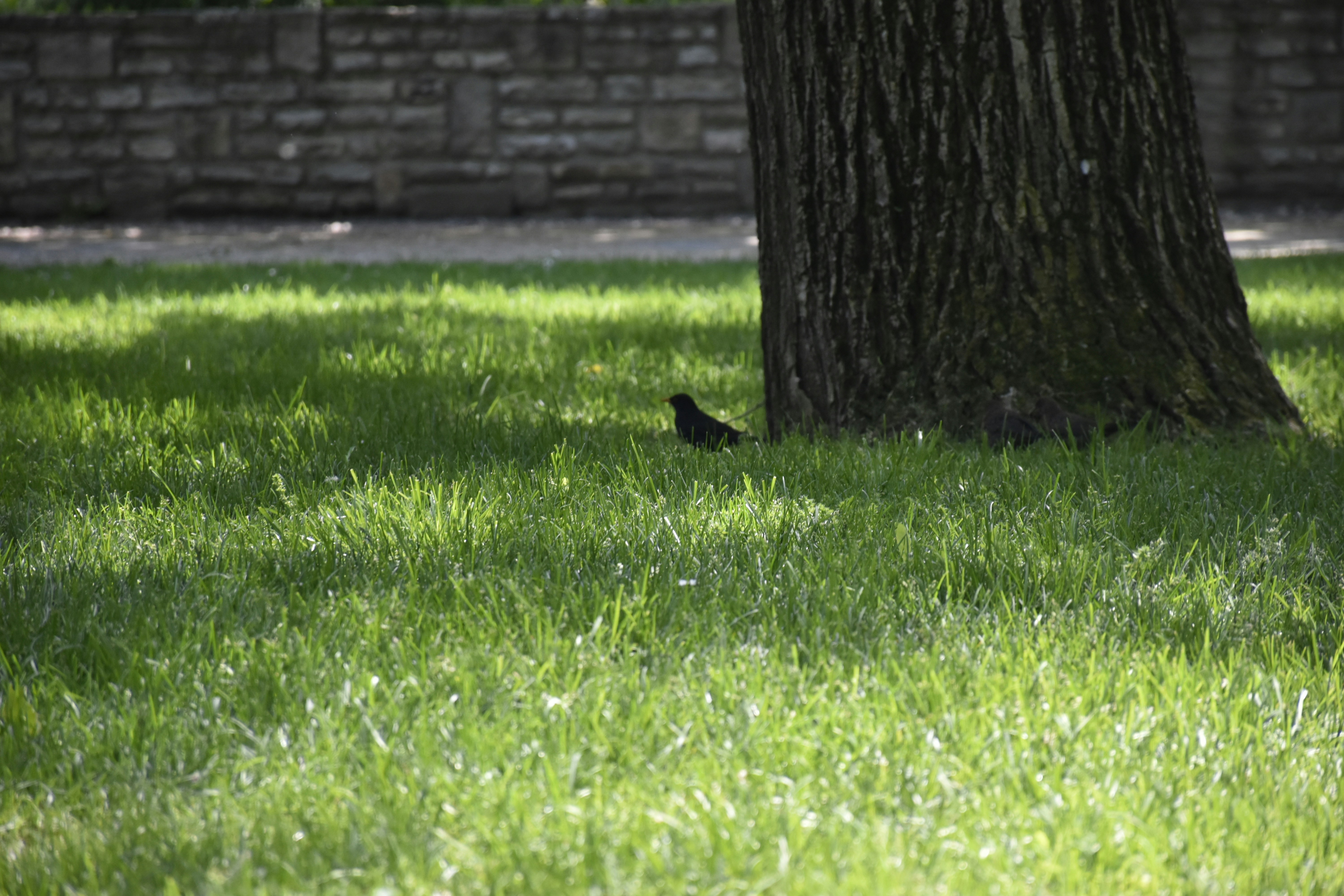 Photo by znphotogarphy