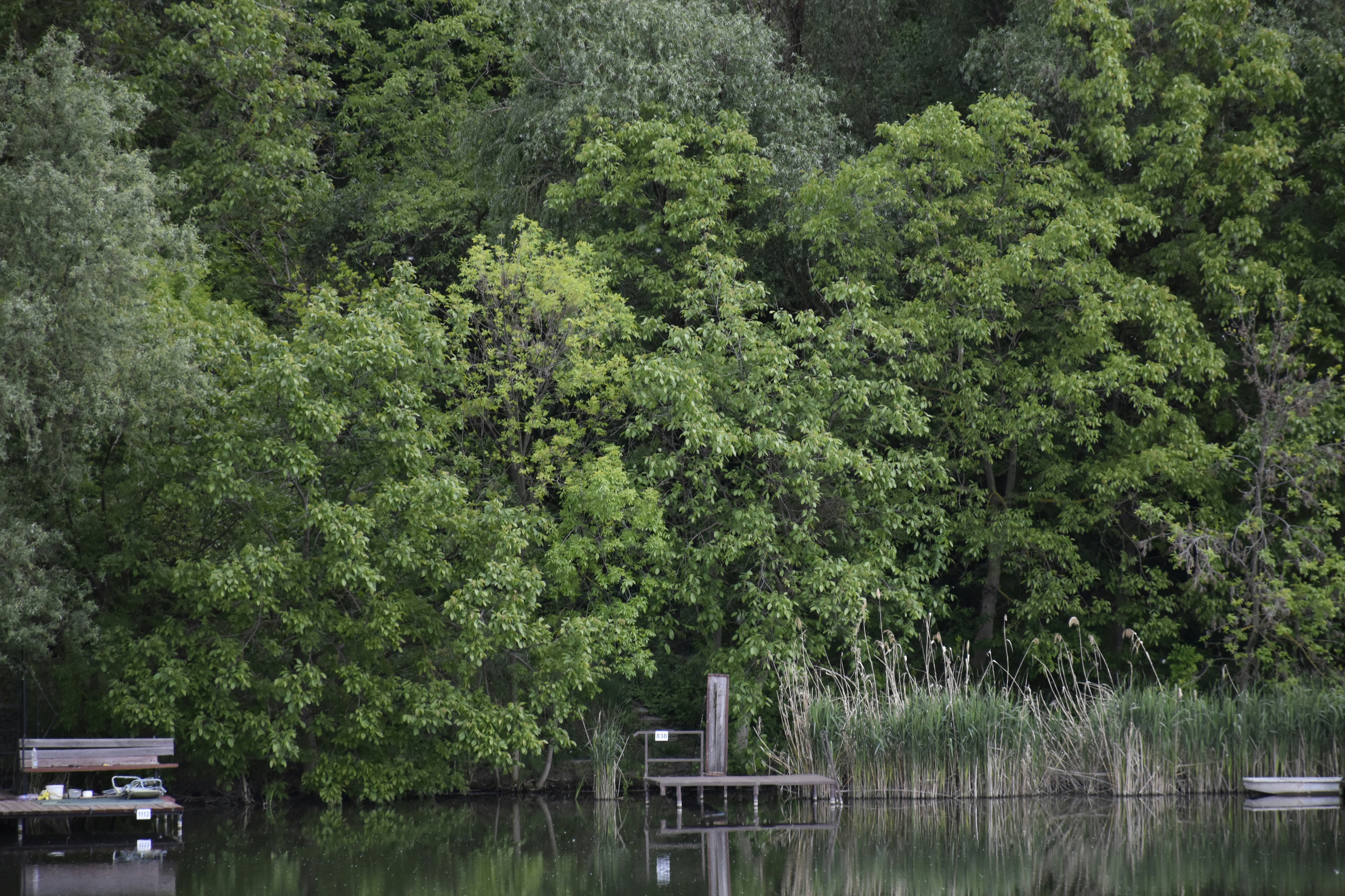 Photo by znphotogarphy