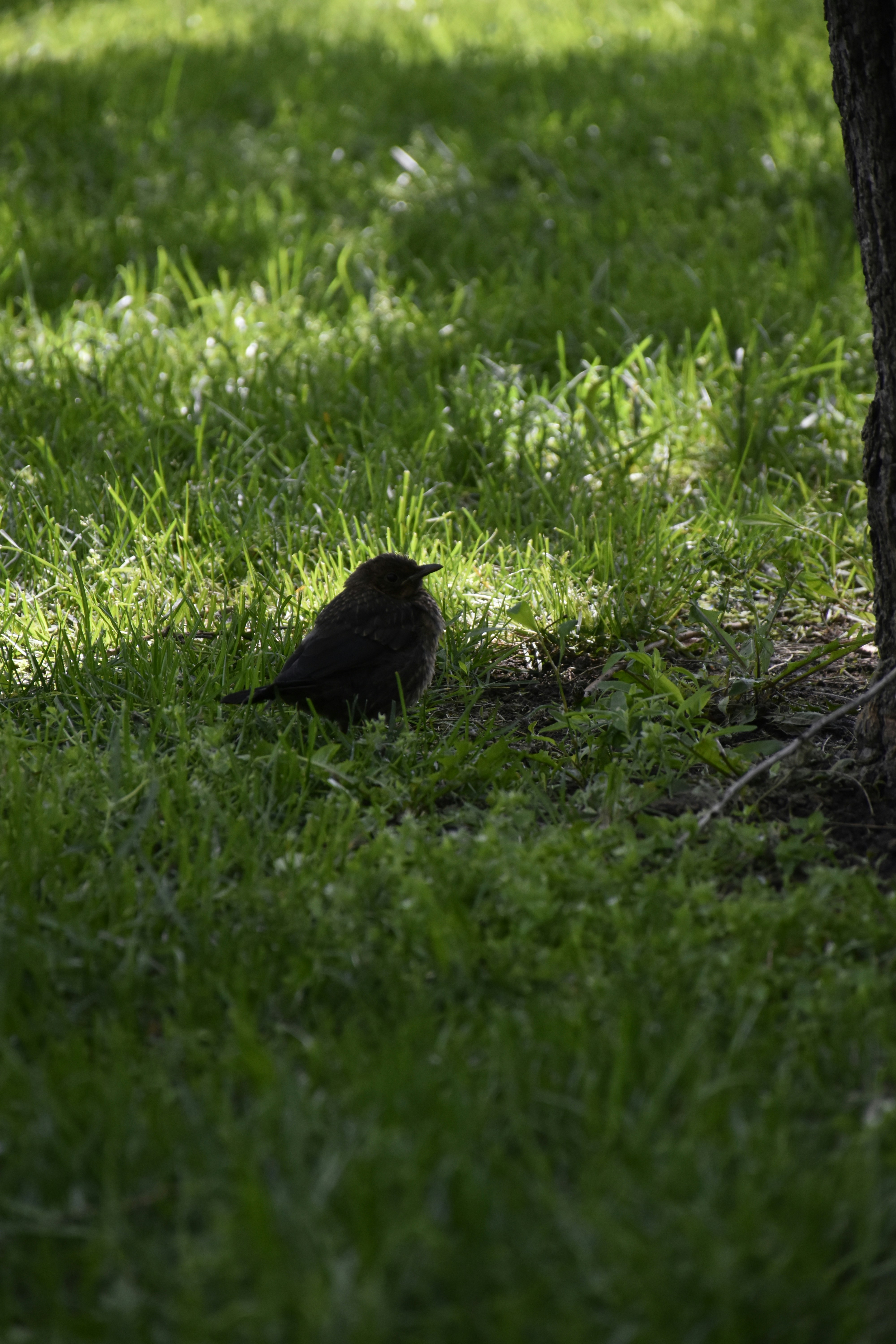 Photo by znphotogarphy