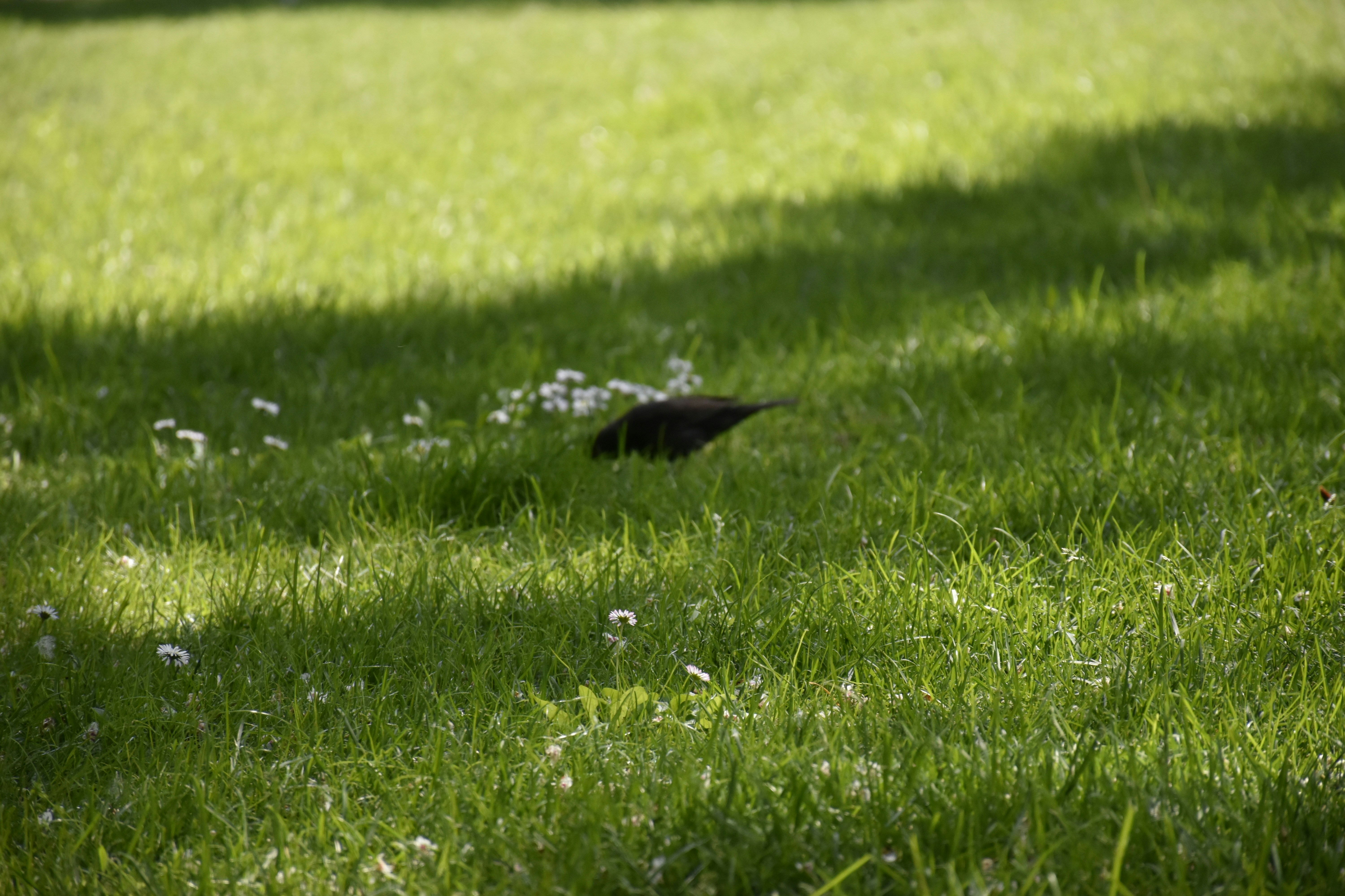 Photo by znphotogarphy