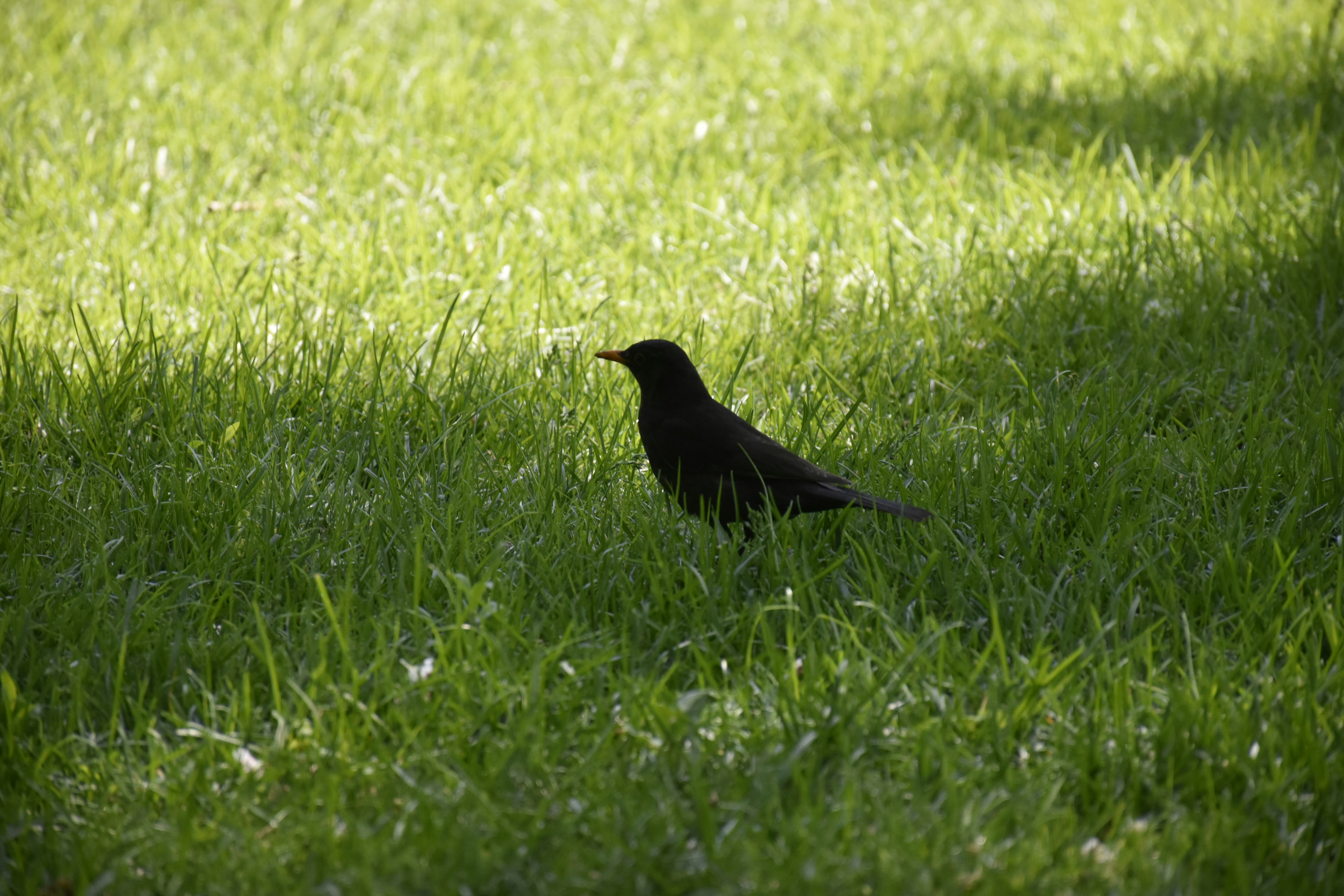 Photo by znphotogarphy