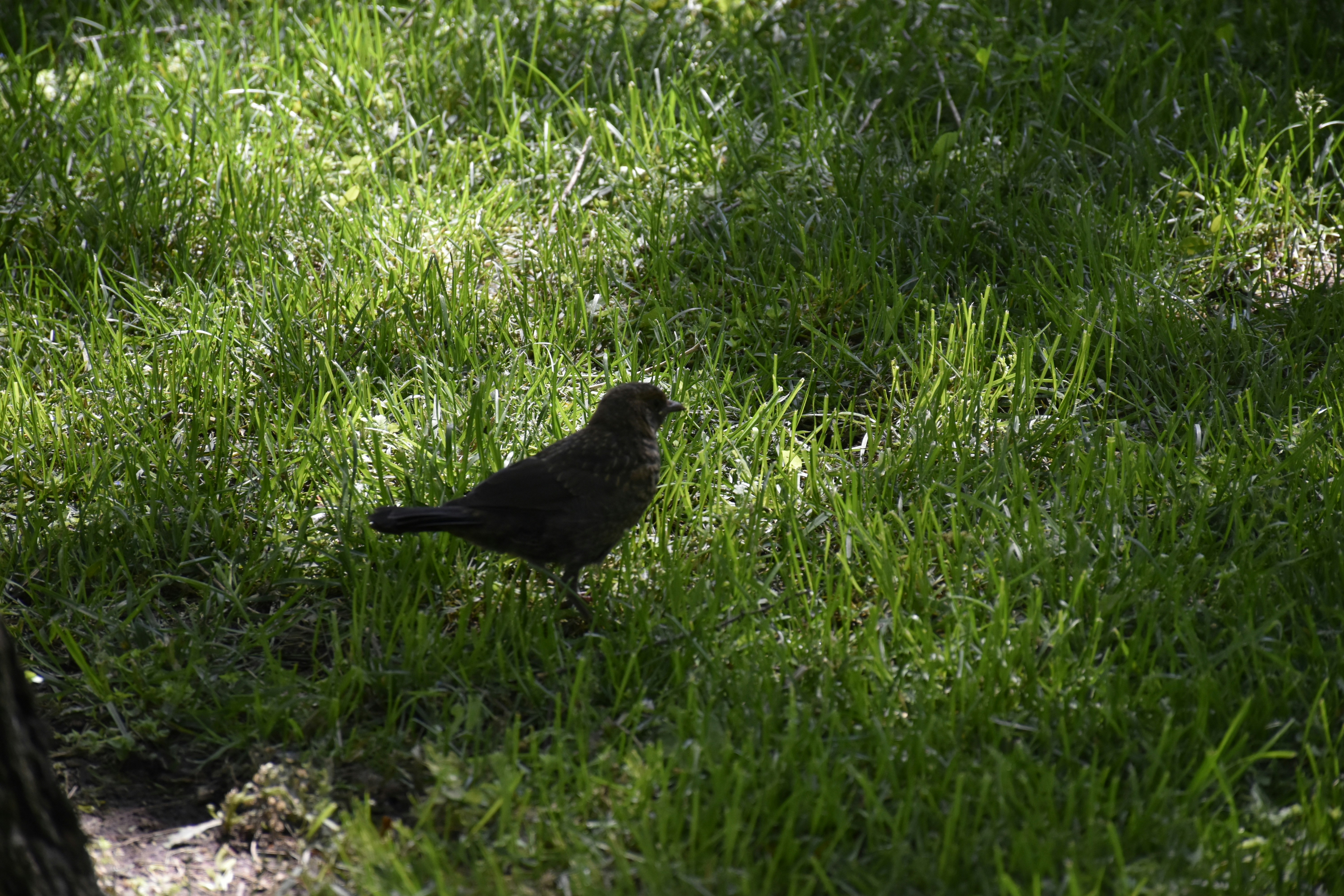 Photo by znphotogarphy