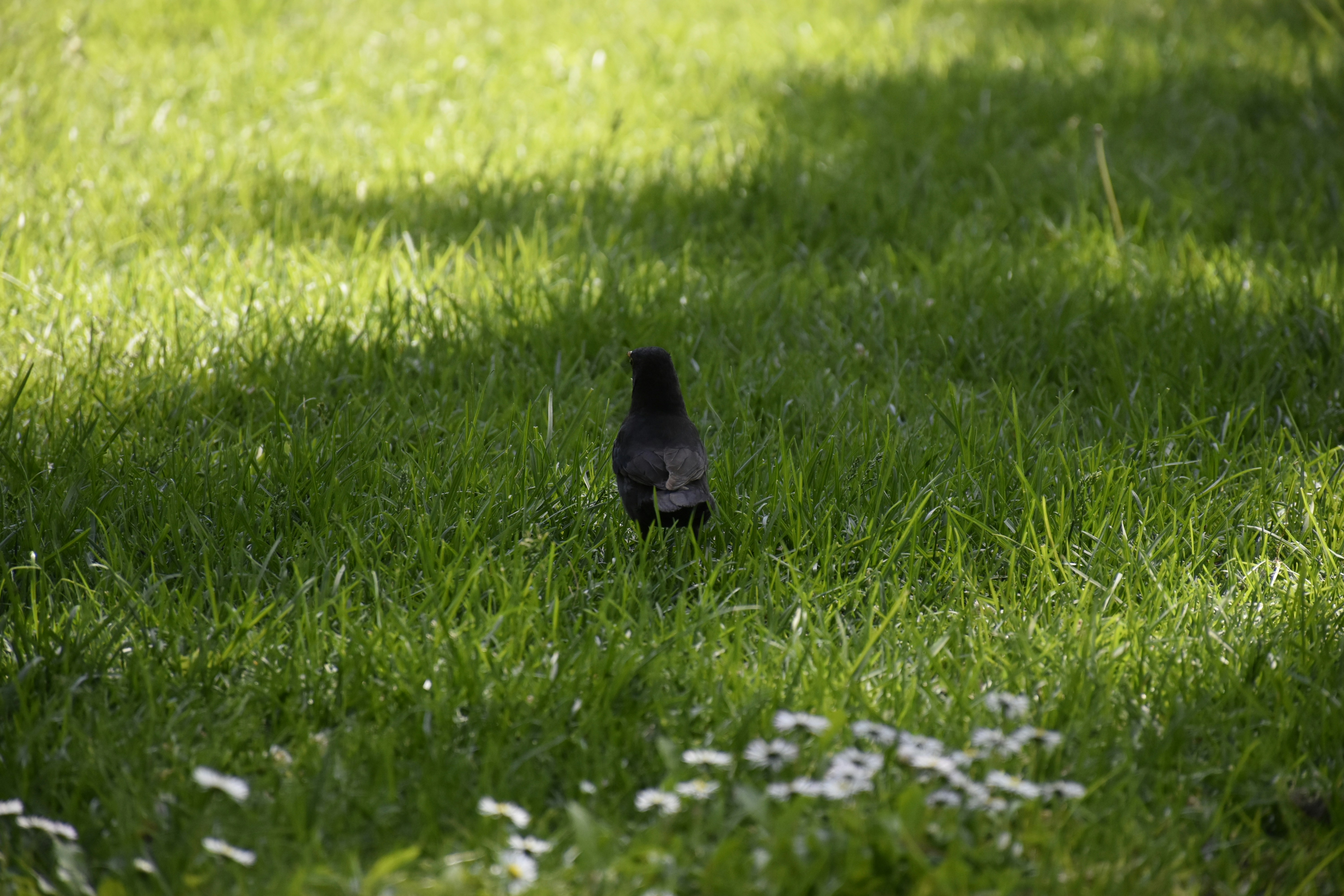 Photo by znphotogarphy