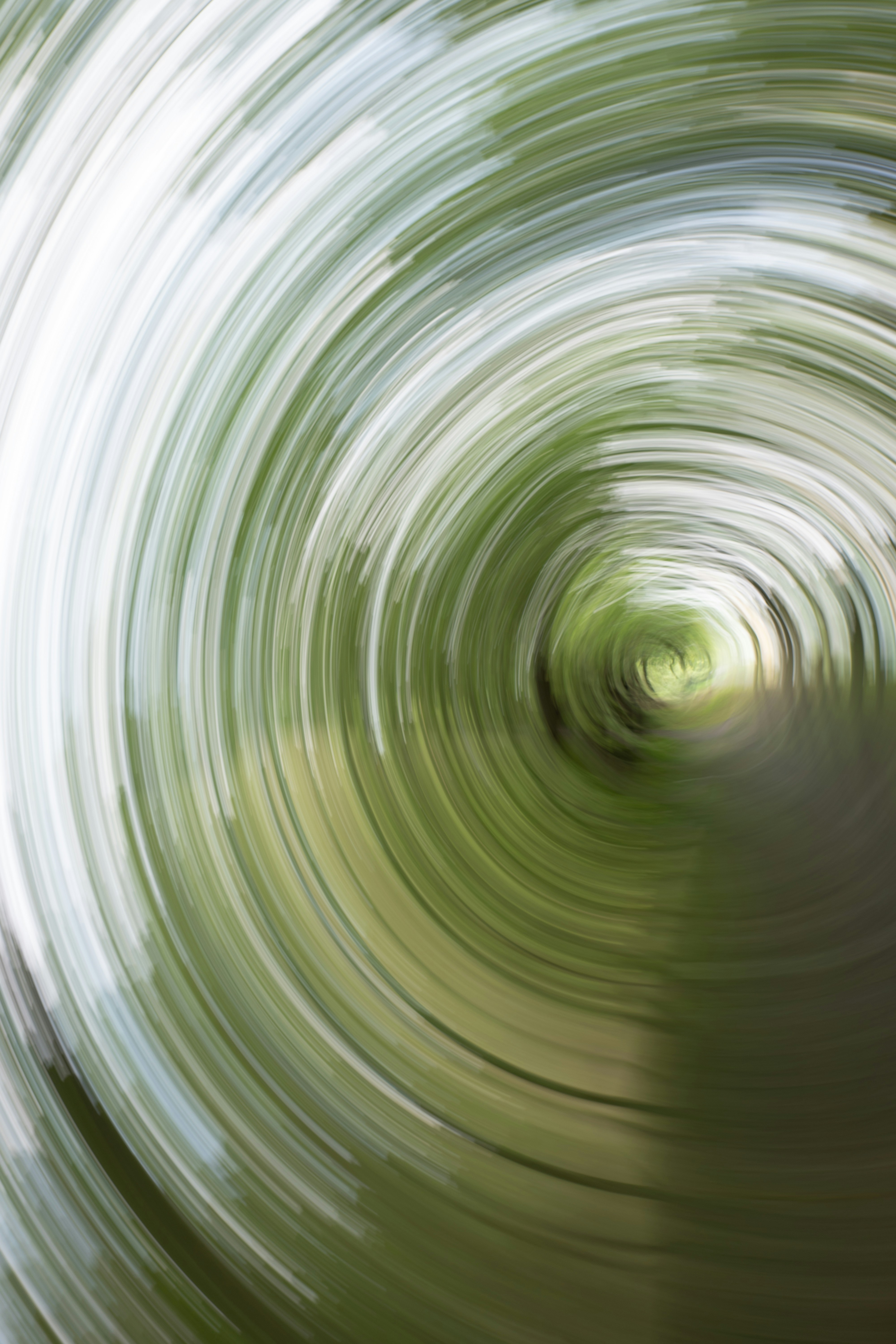 Photo by jerry_chen_