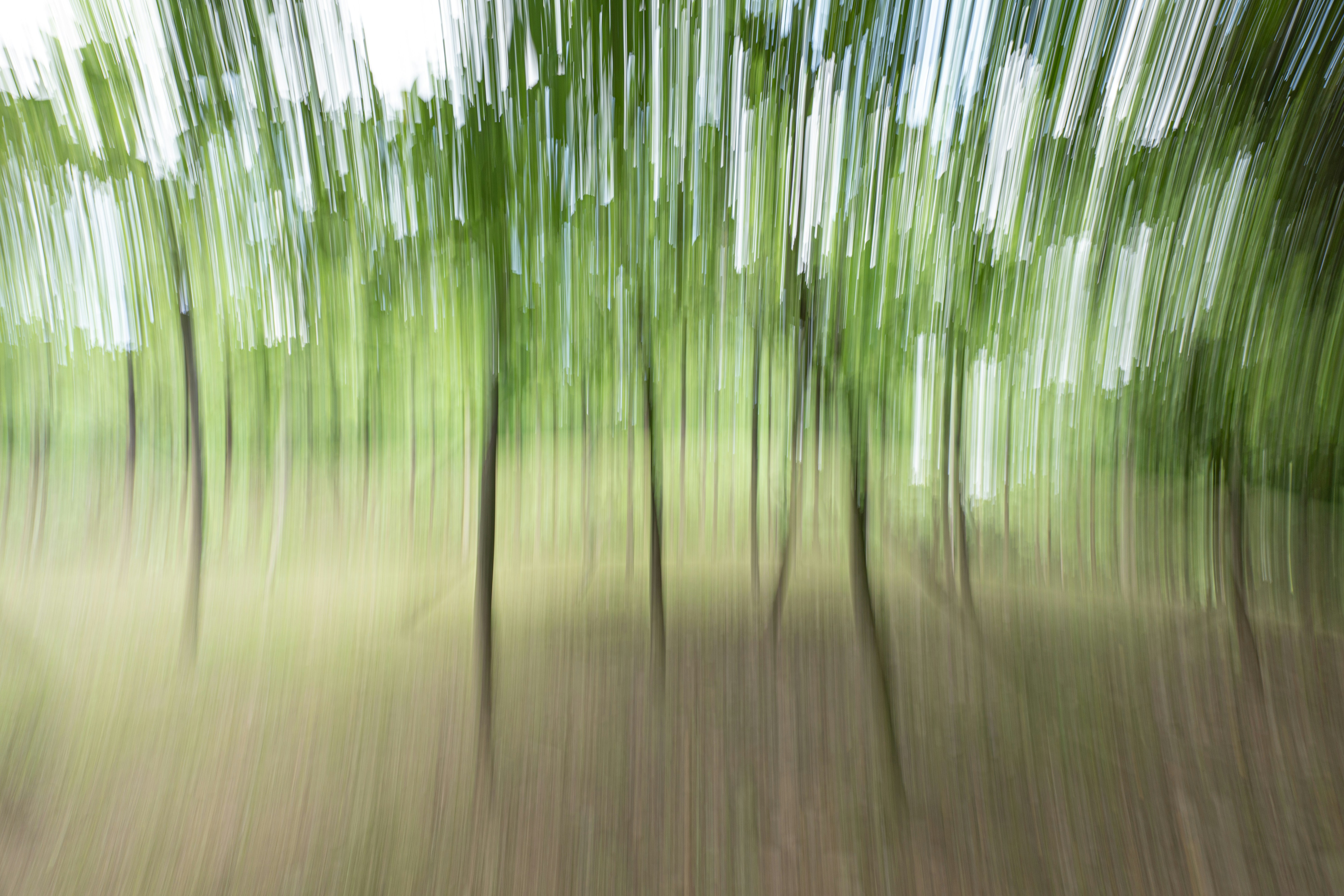 Photo by jerry_chen_