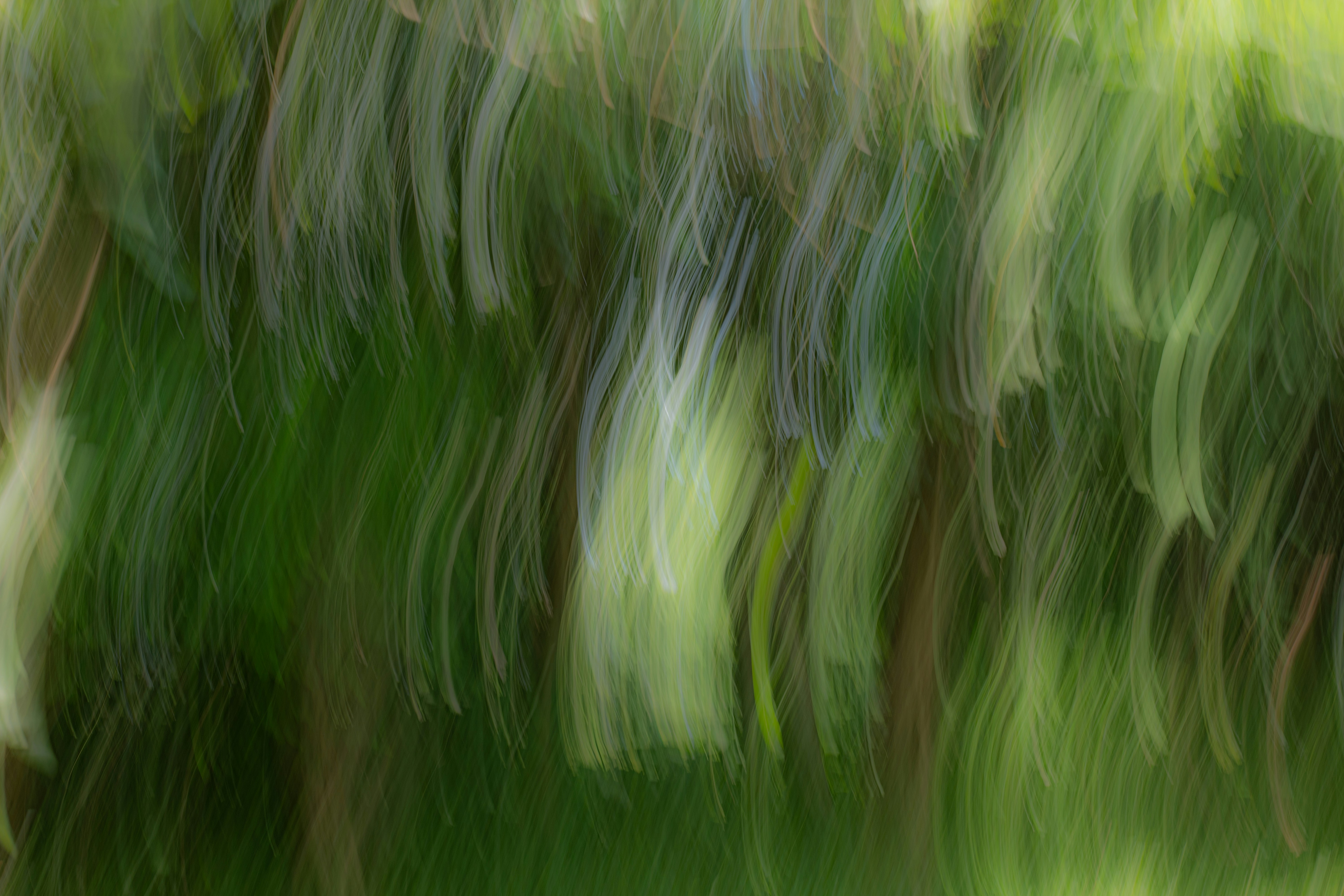 Photo by jerry_chen_