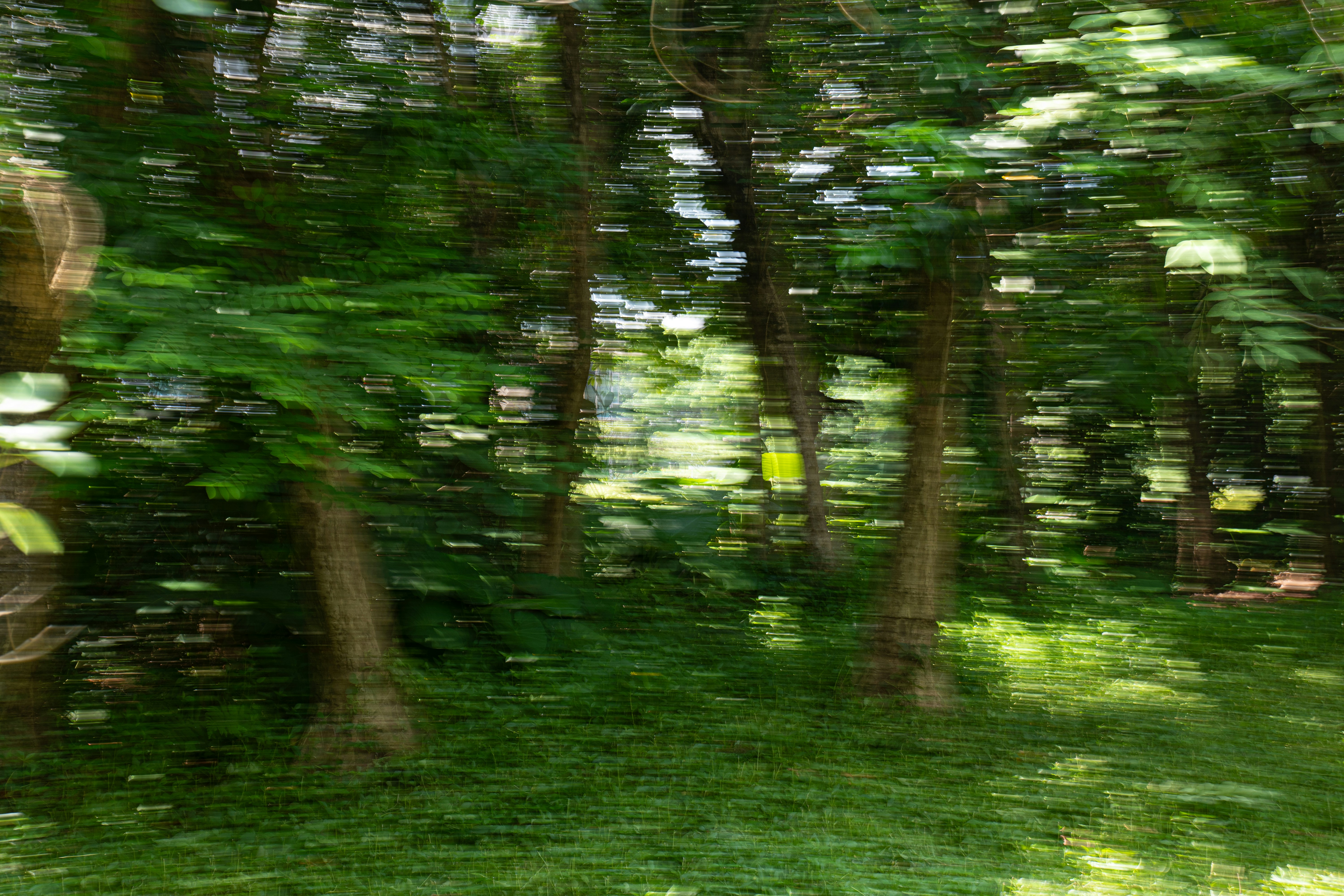 Photo by jerry_chen_