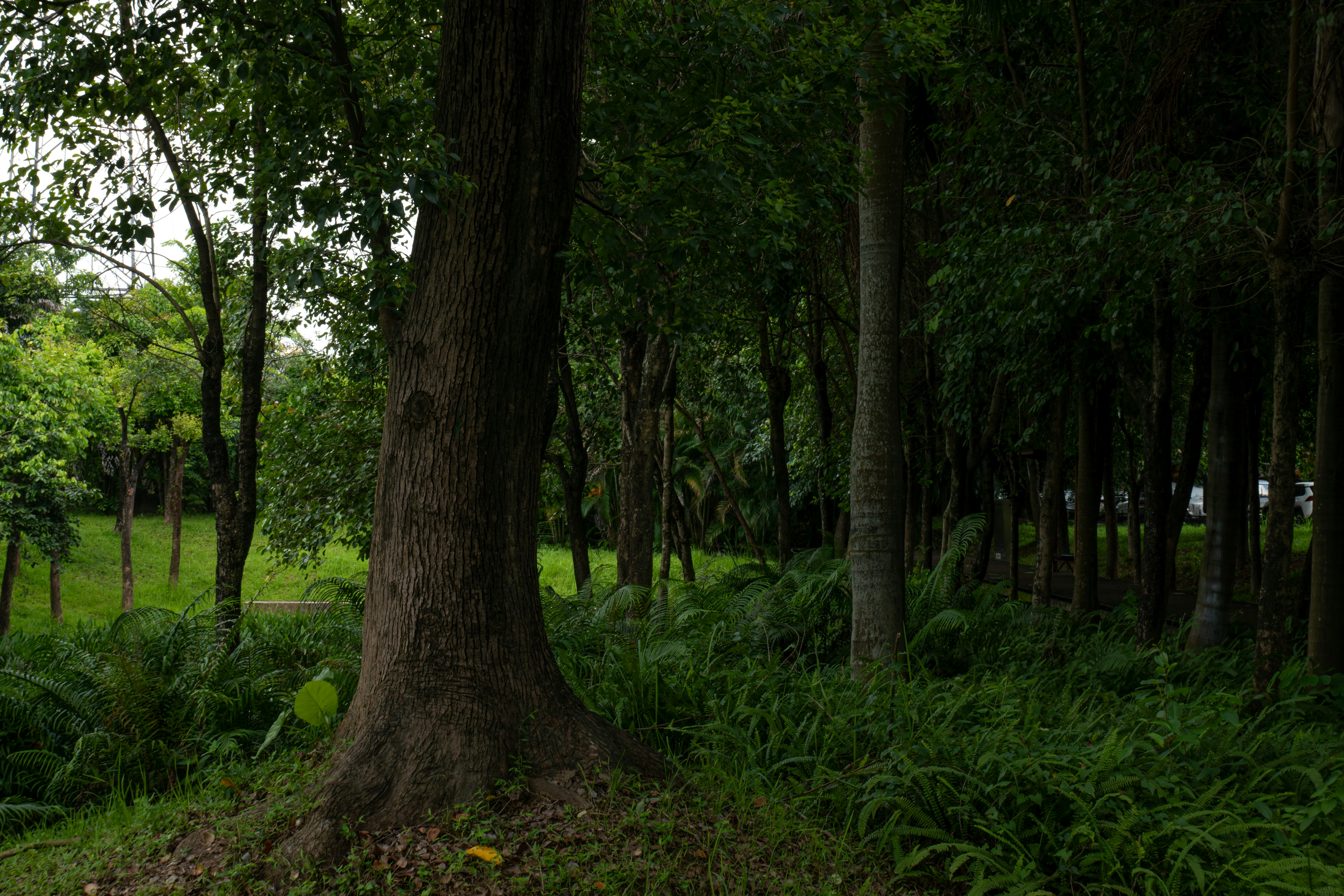 Photo by jerry_chen_