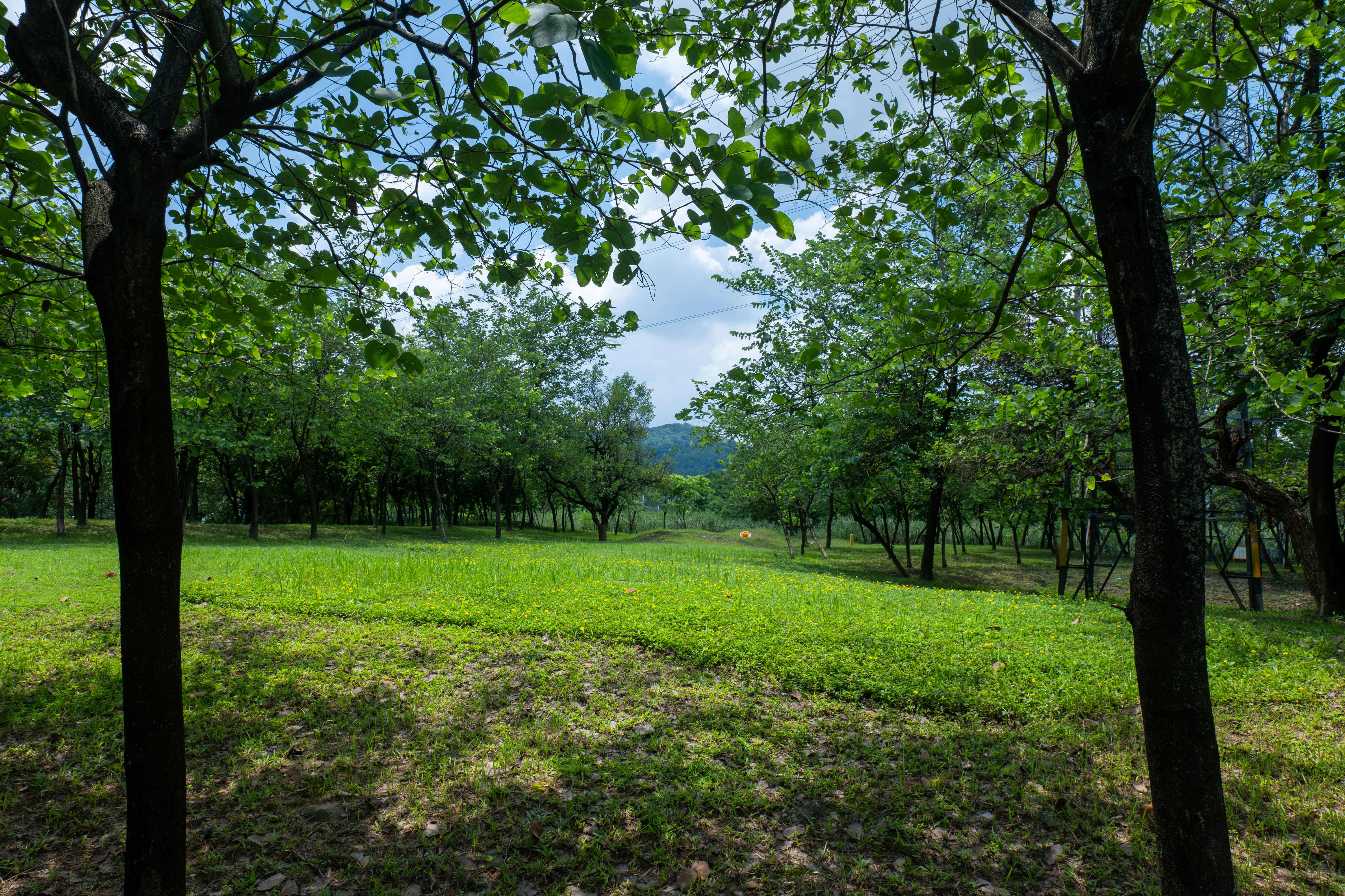 Photo by jerry_chen_