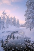 A river running through a snow covered forest