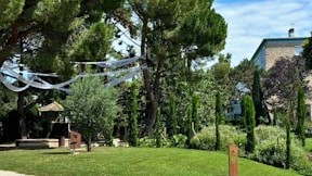A grassy area with trees and a building in the background