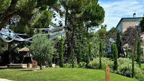 A grassy area with trees and a building in the background