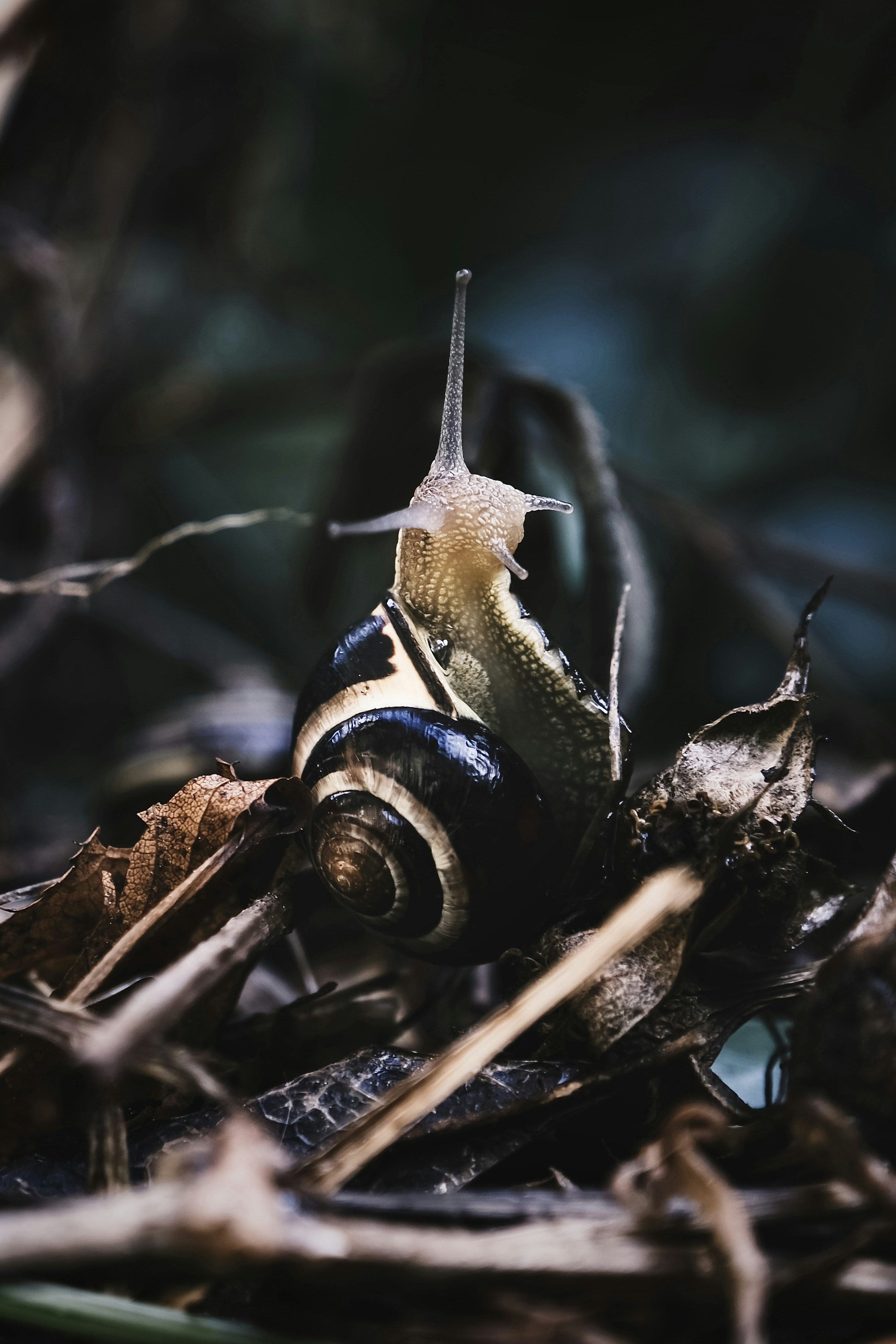 Photo by mkrawczynski