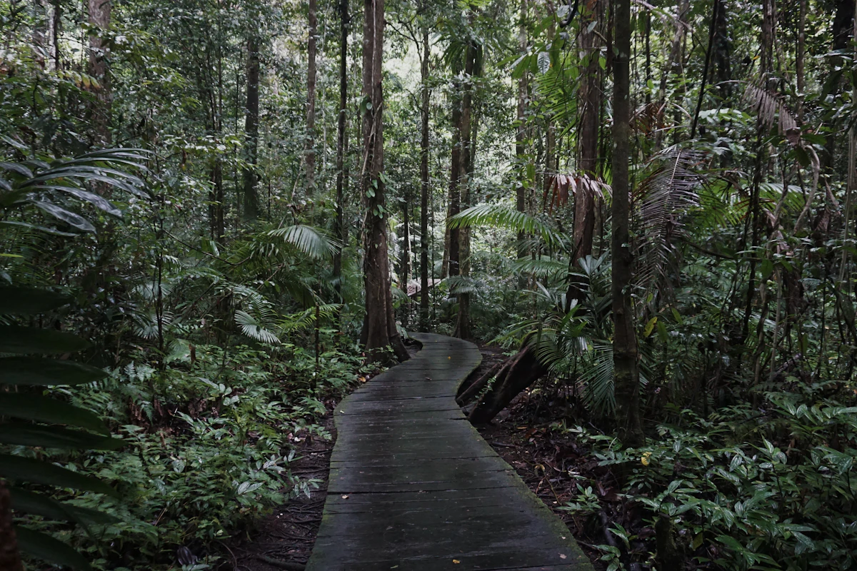 Randonnée forêt et cascade — 1 / 2
