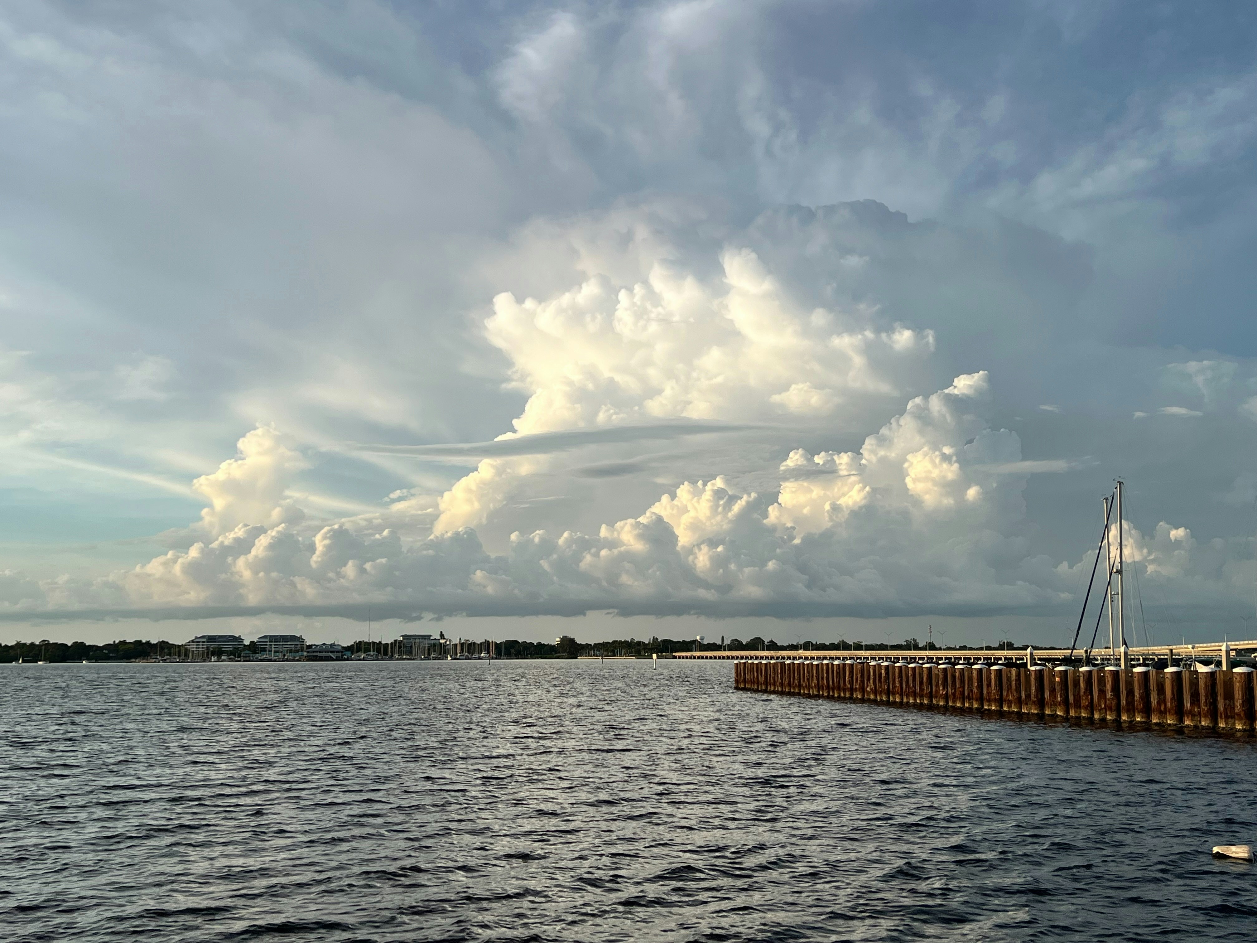 Top 5 Family-Friendly Activities in Bradenton, FL