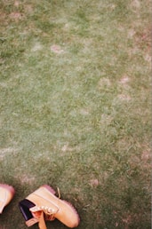 A pair of shoes sitting on top of a lush green field