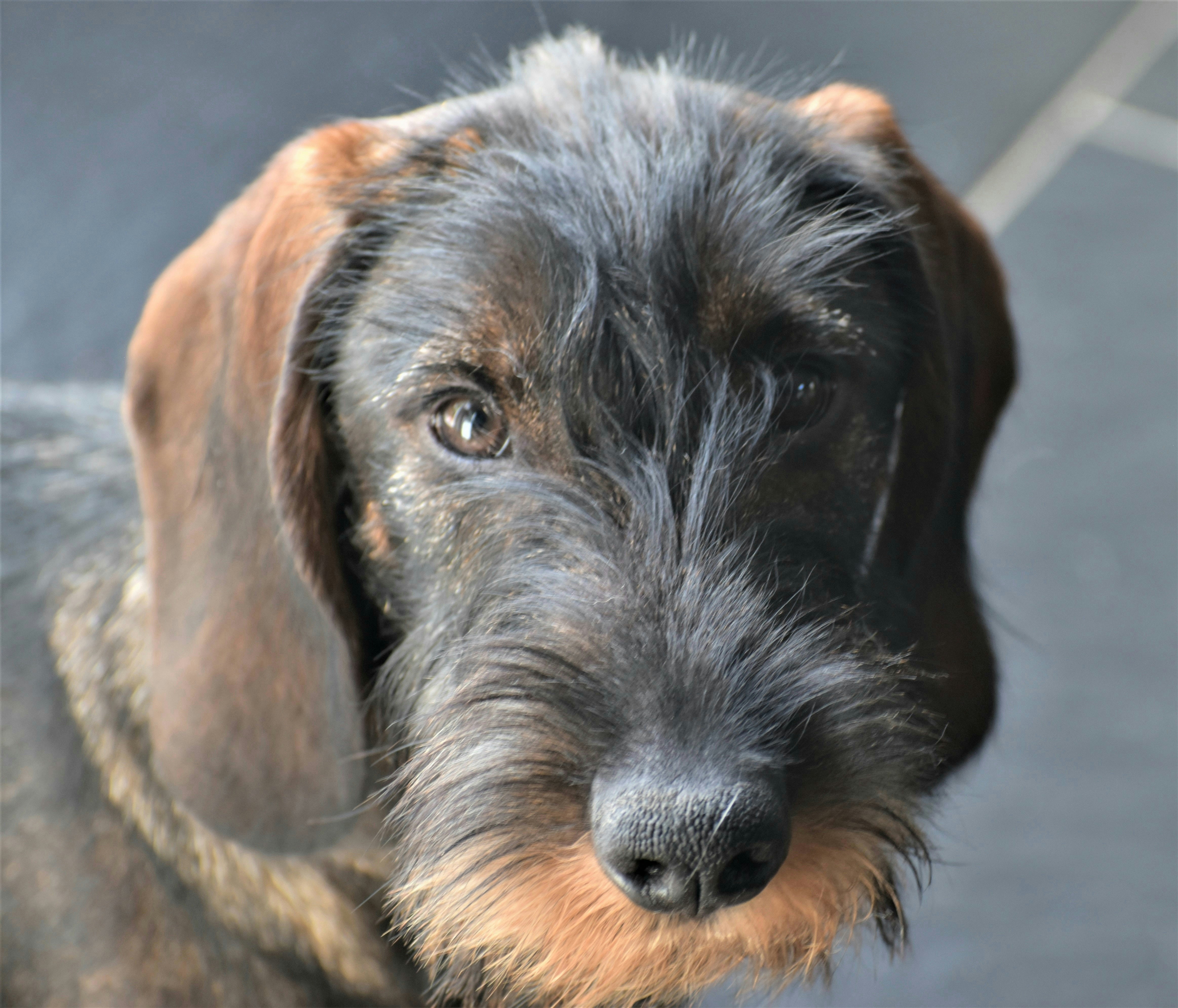 Photo by danielelarosa