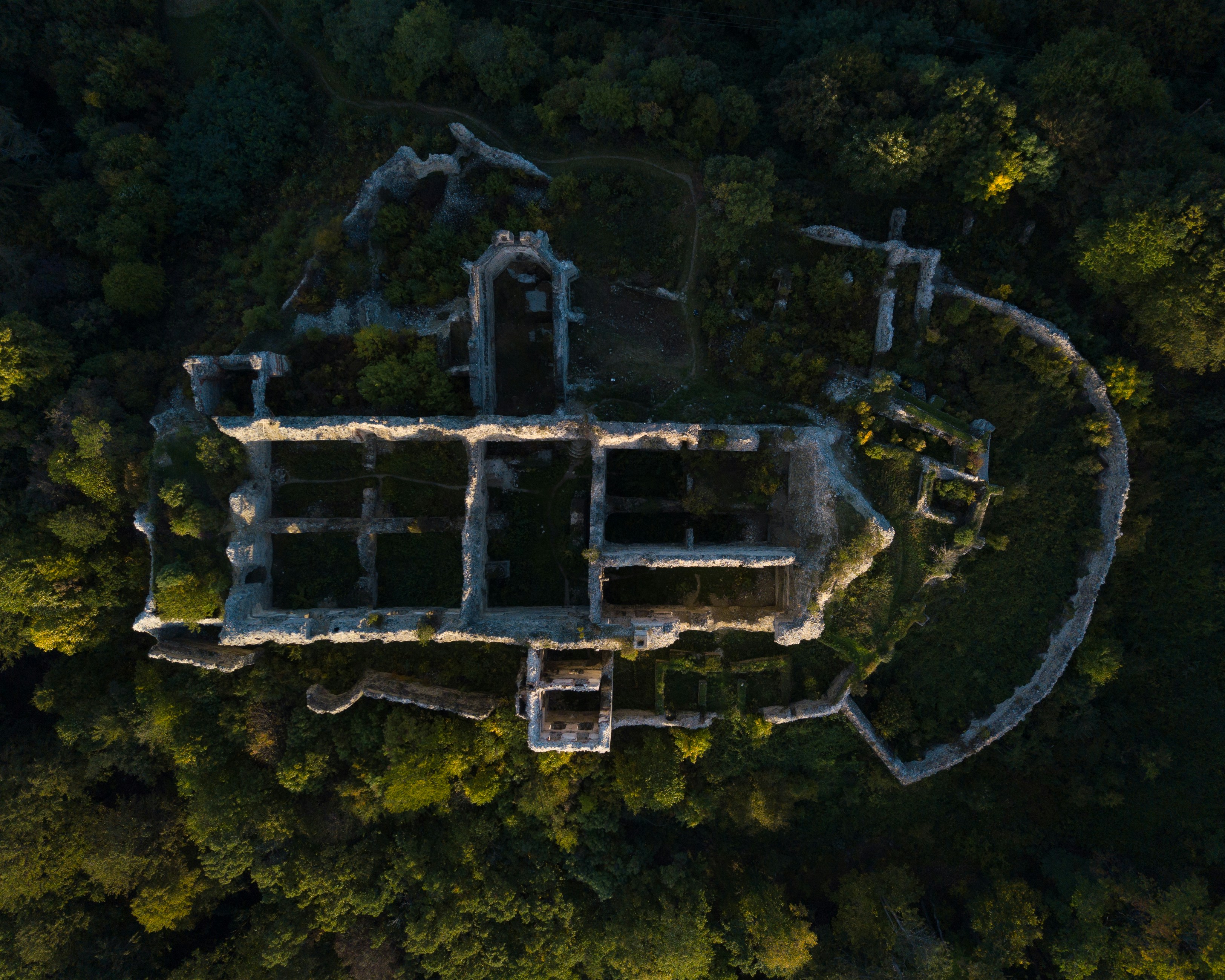 Photo by vjeblackbirdlion