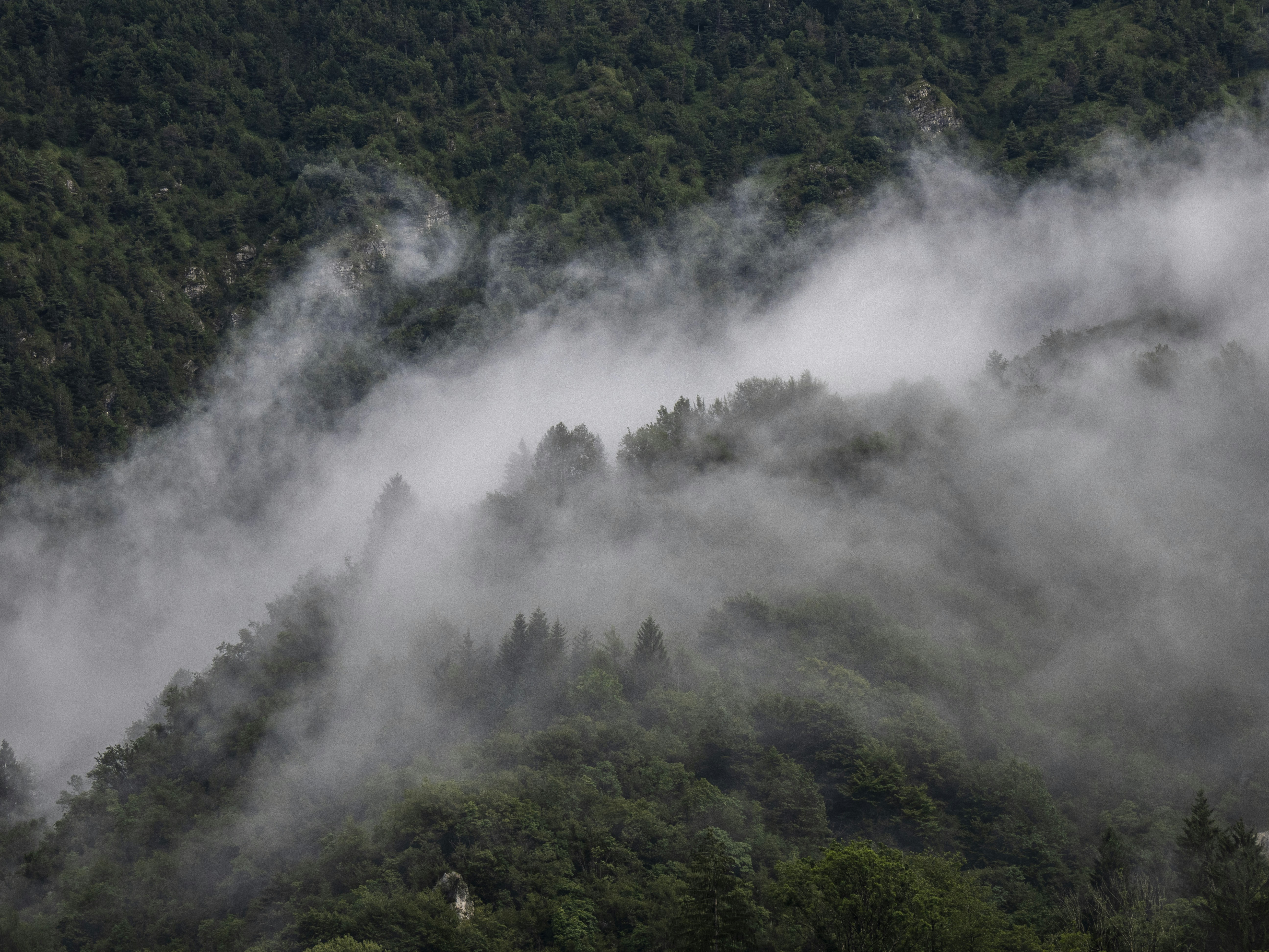 Photo by gopitri_prem