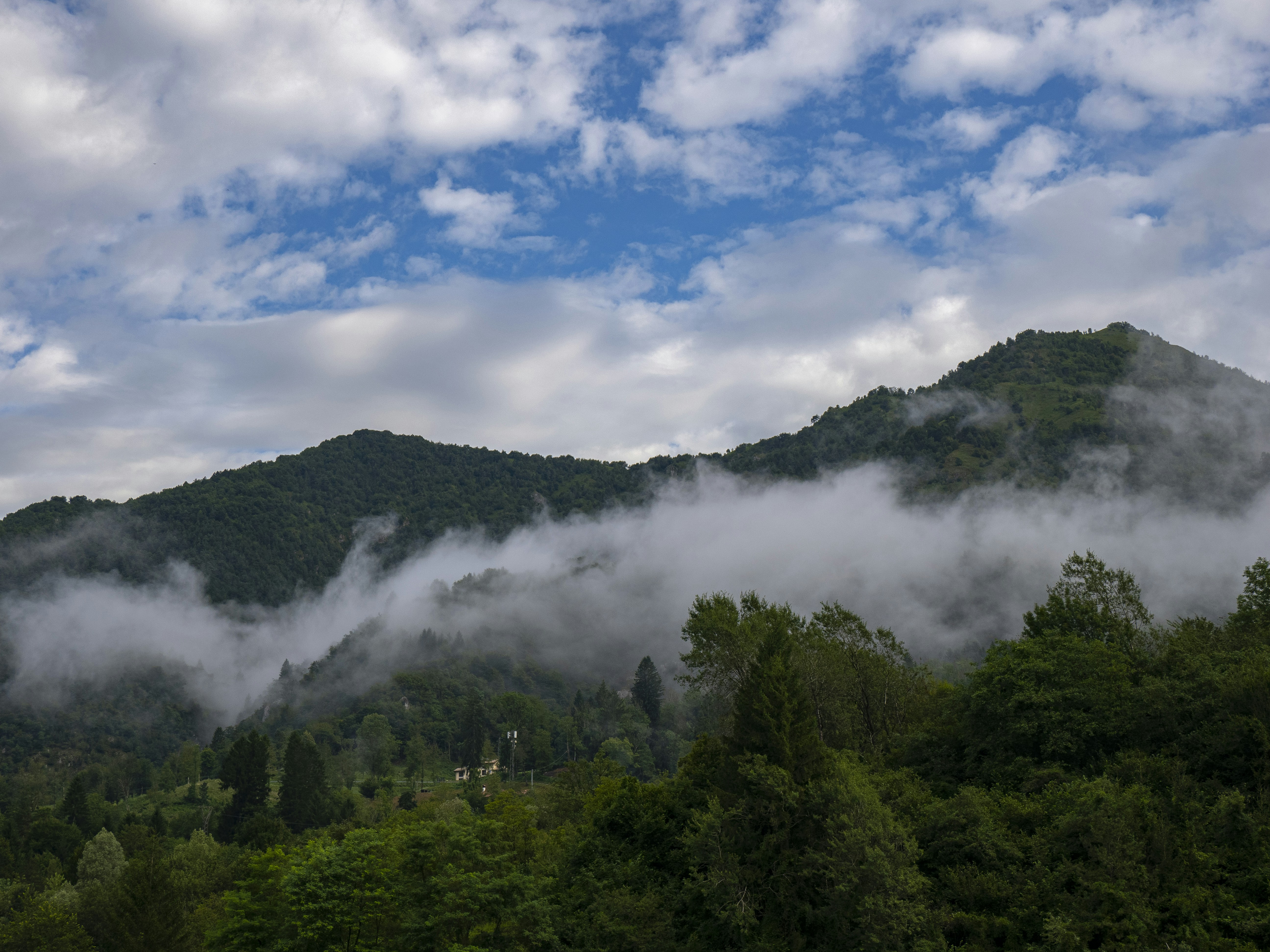 Photo by gopitri_prem