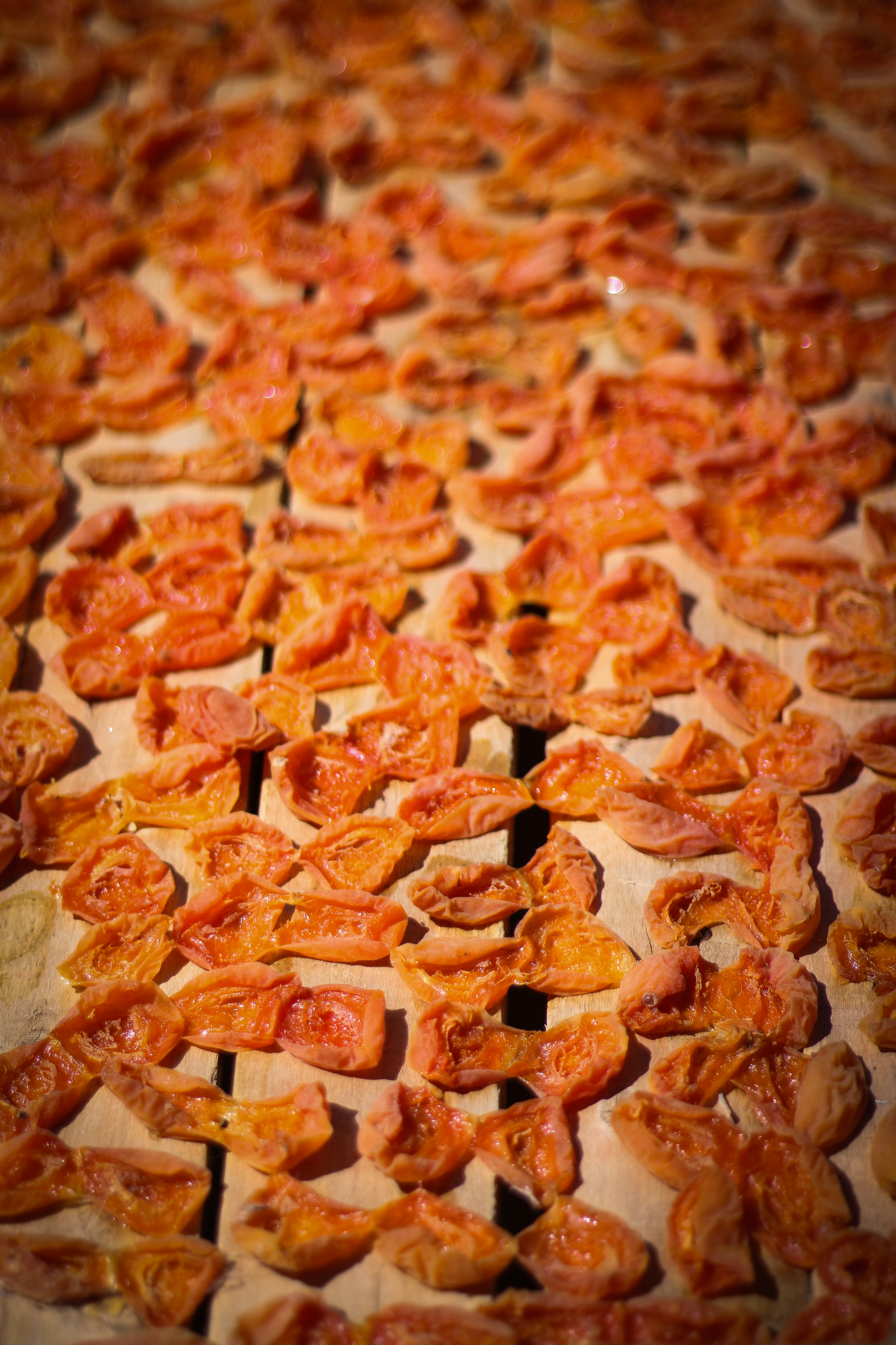 A close up of a pizza with tomatoes on it