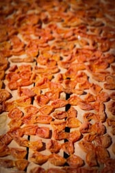 A close up of a pizza with tomatoes on it