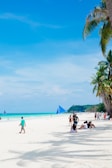 A group of people on a beach with palm trees