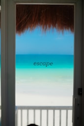 A dog sitting on a porch looking out at the ocean