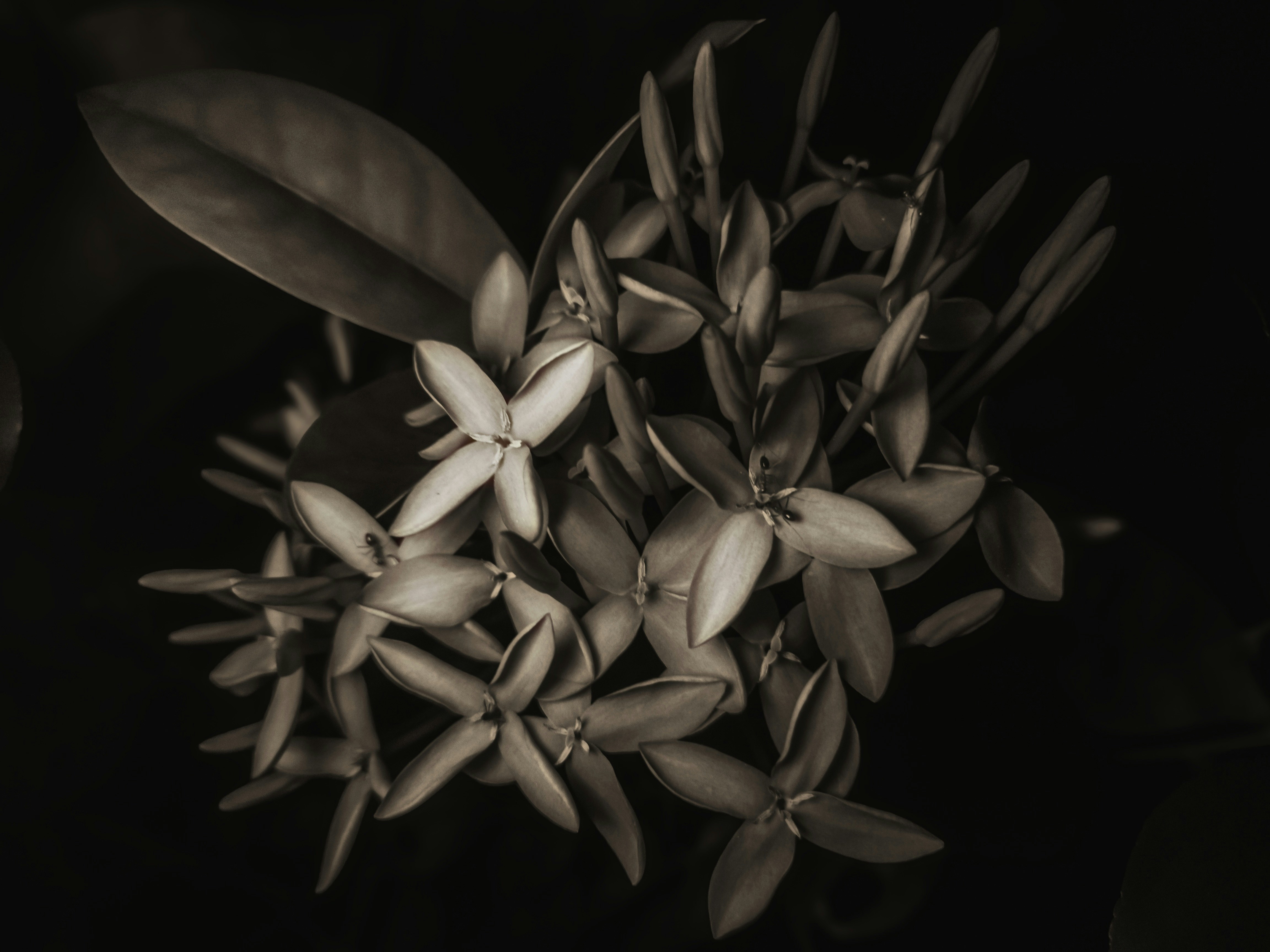 Photo by true_reflection_s