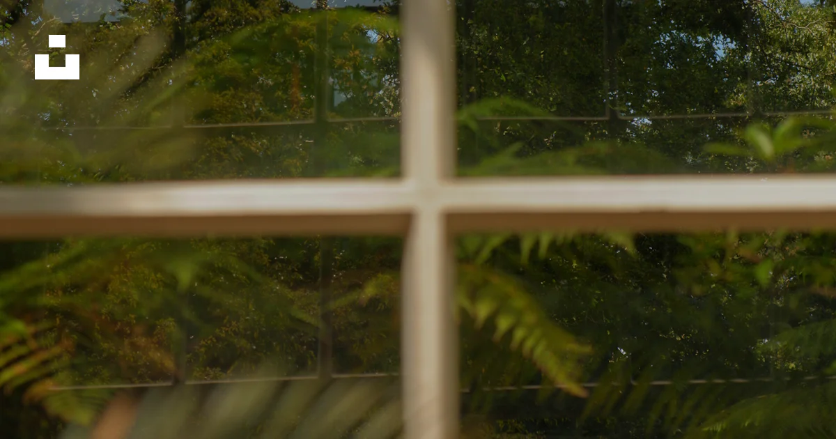 Tree Reflection Windo A window with a reflection of trees in it photo – Free Vegetation Image ...