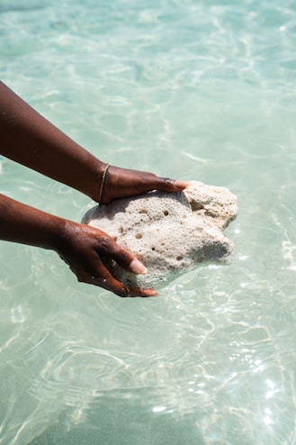 A person holding a rock in the water