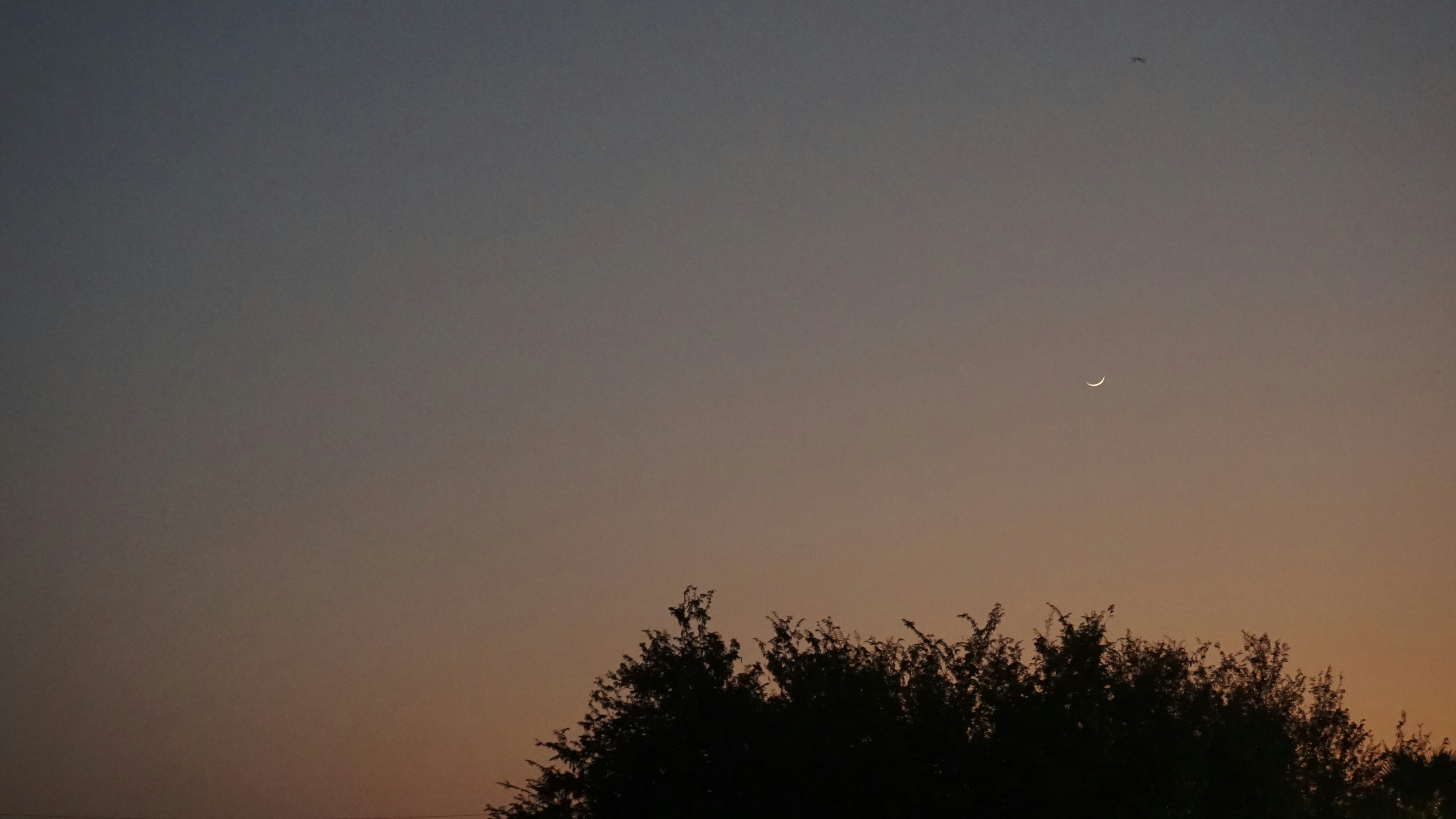 Photo by dontdenyyour_9