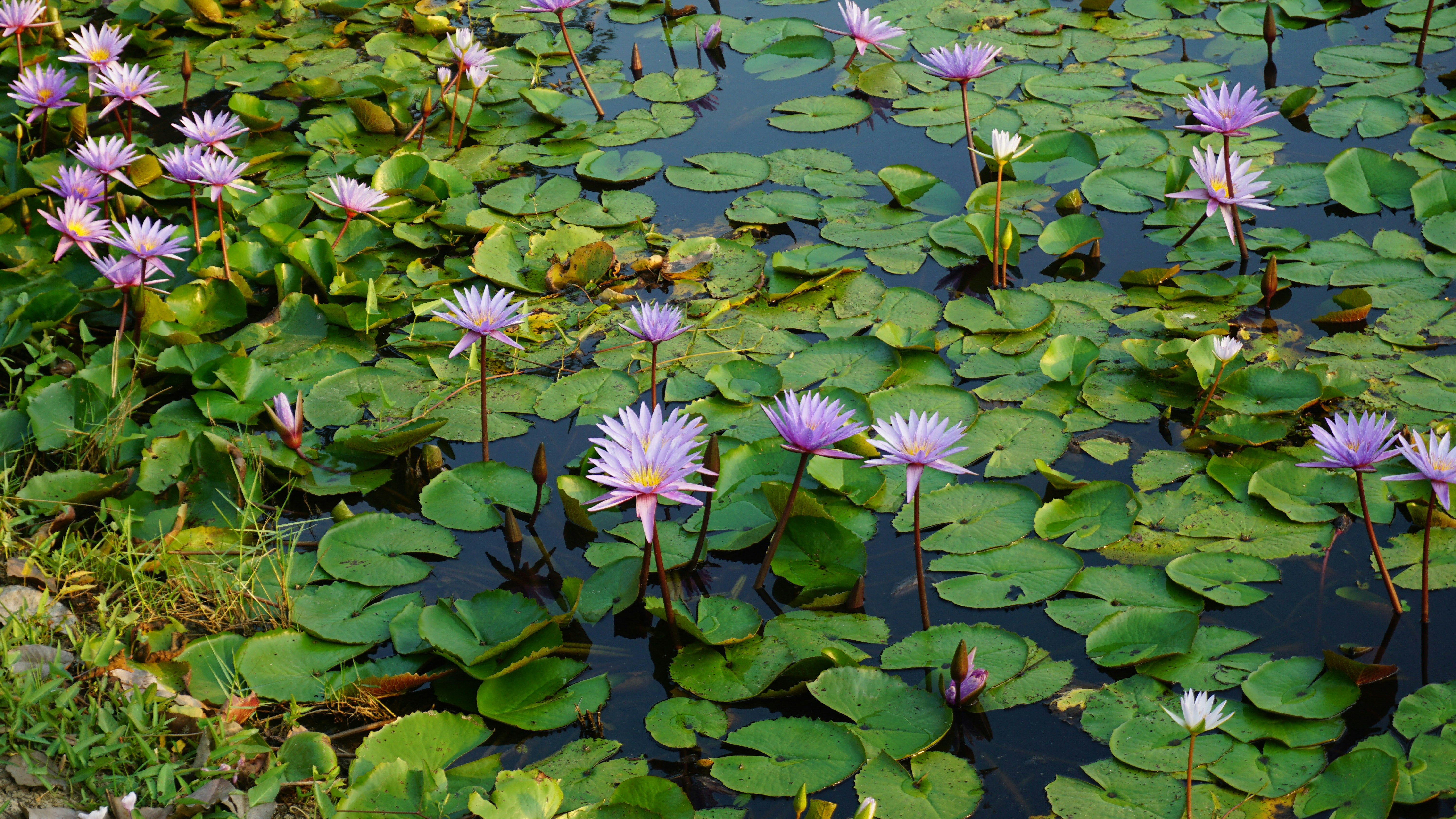 Photo by dontdenyyour_9