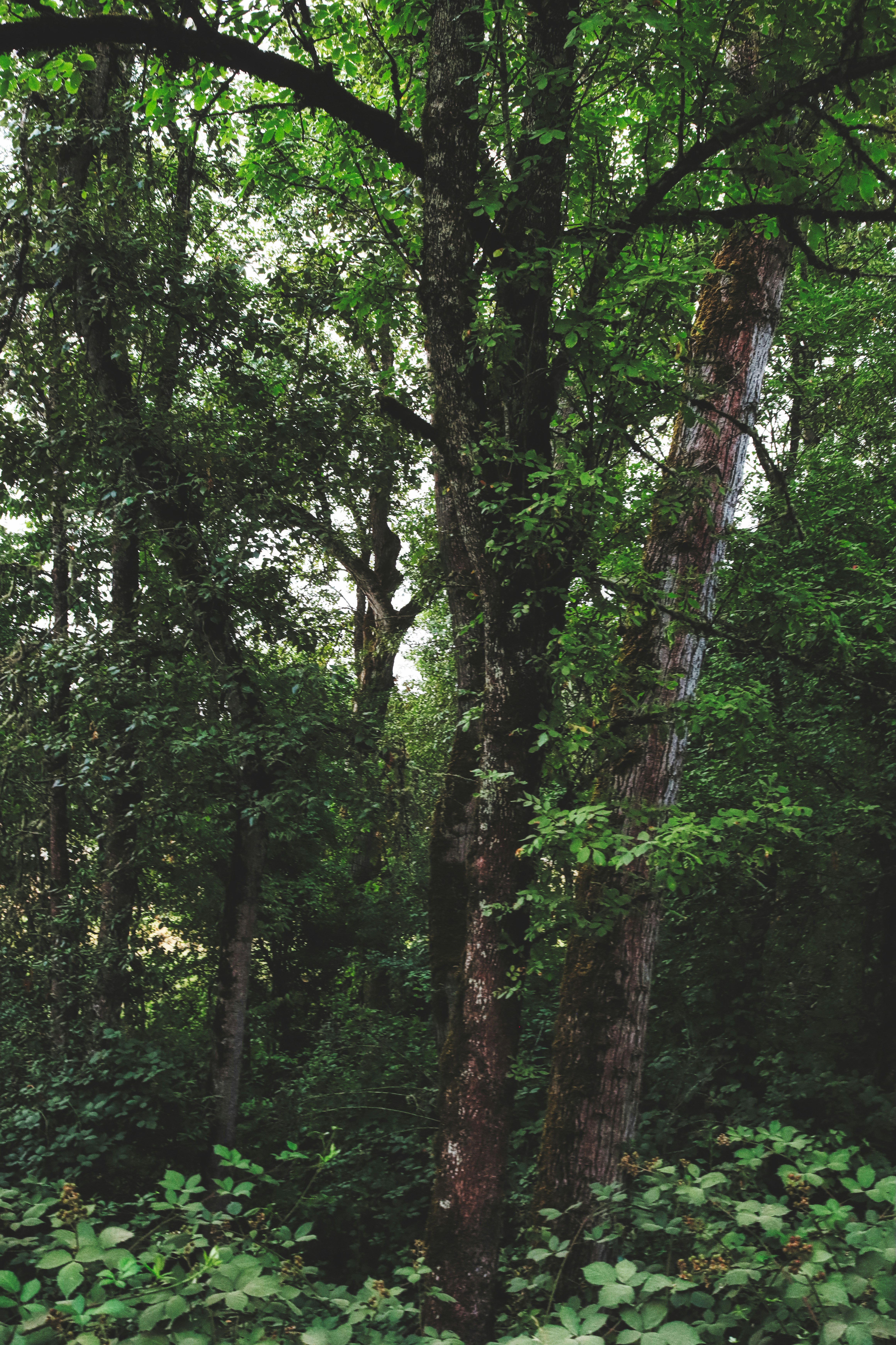 Photo by davidjboozer