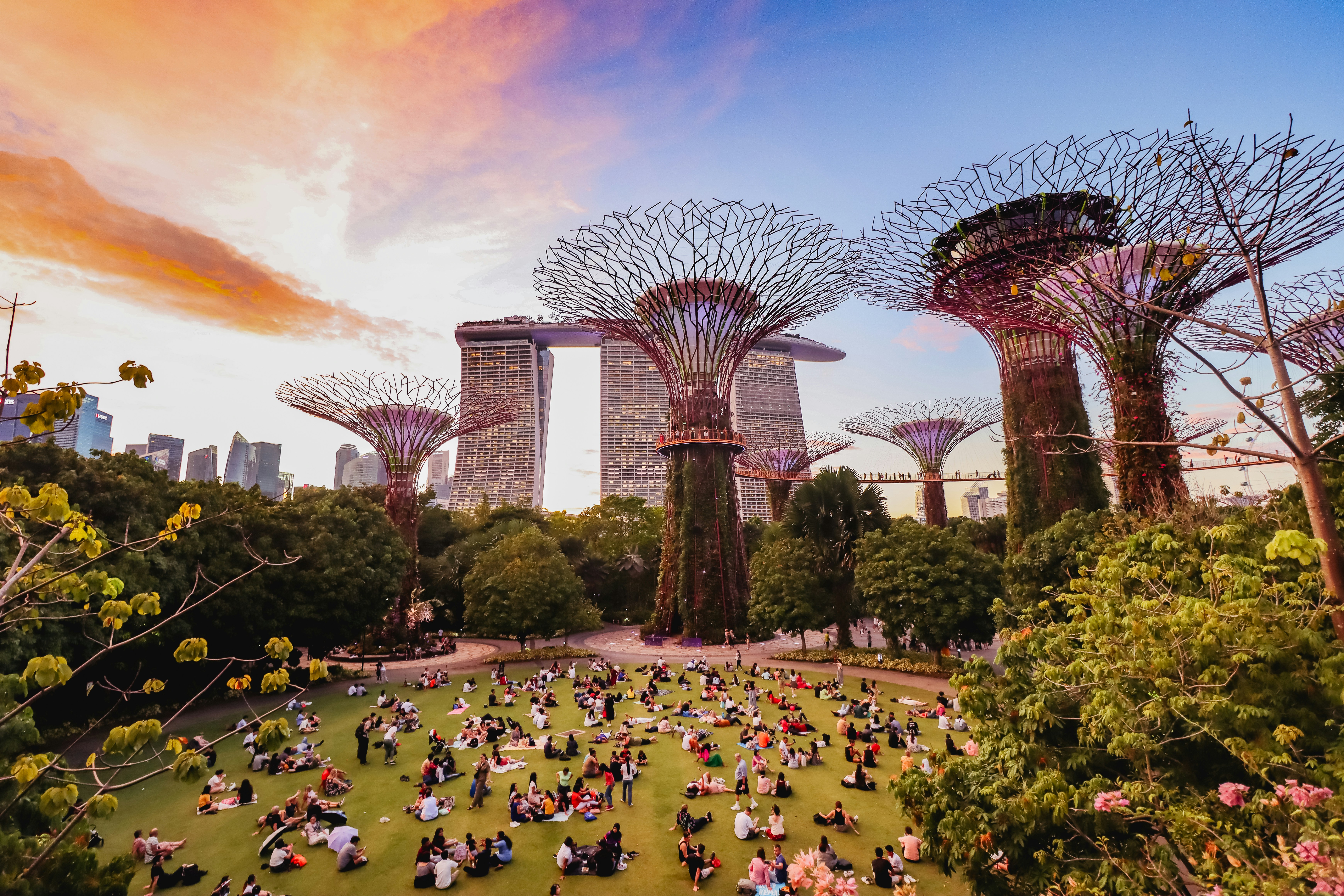 A large group of people in a park