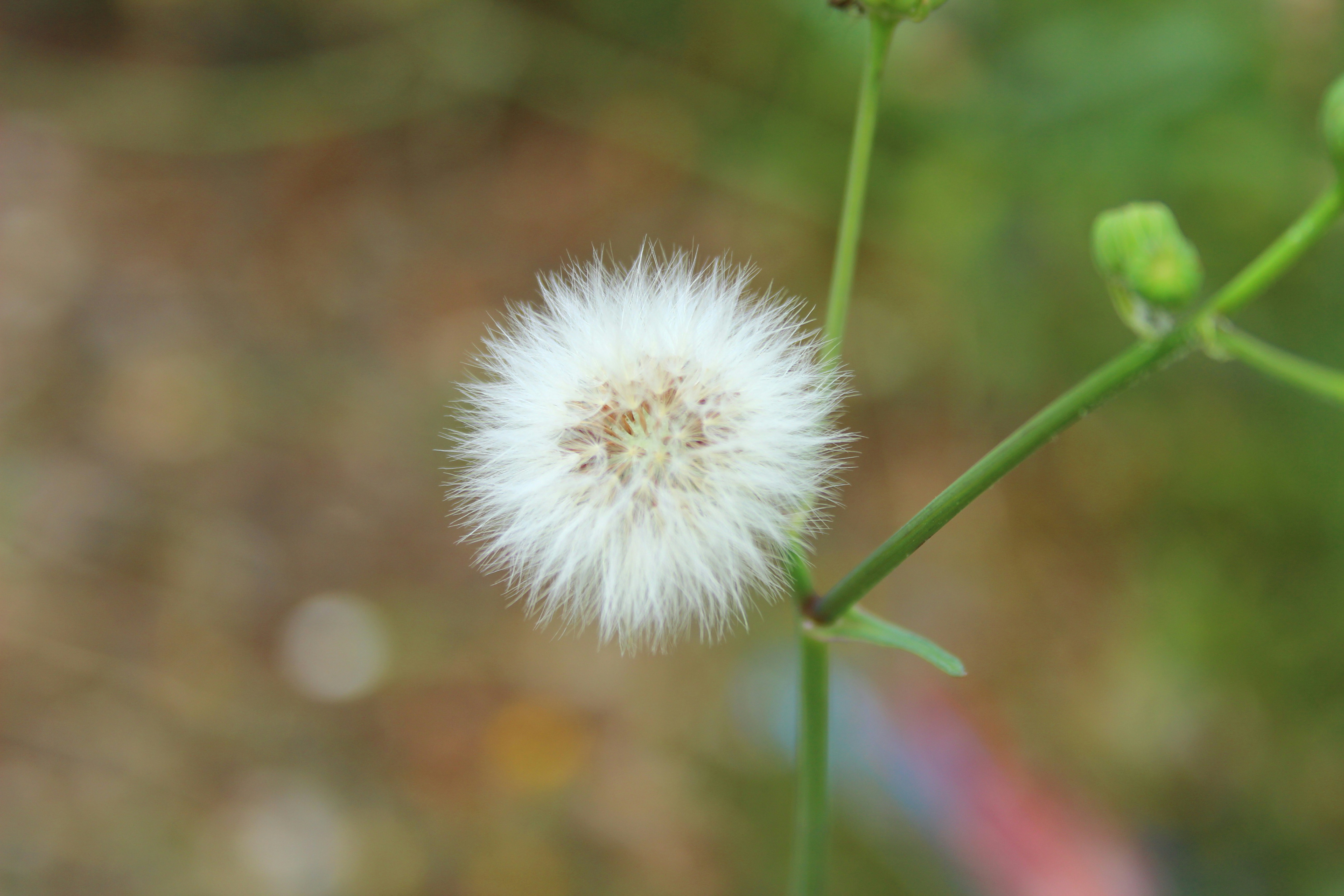 Photo by michael_kater