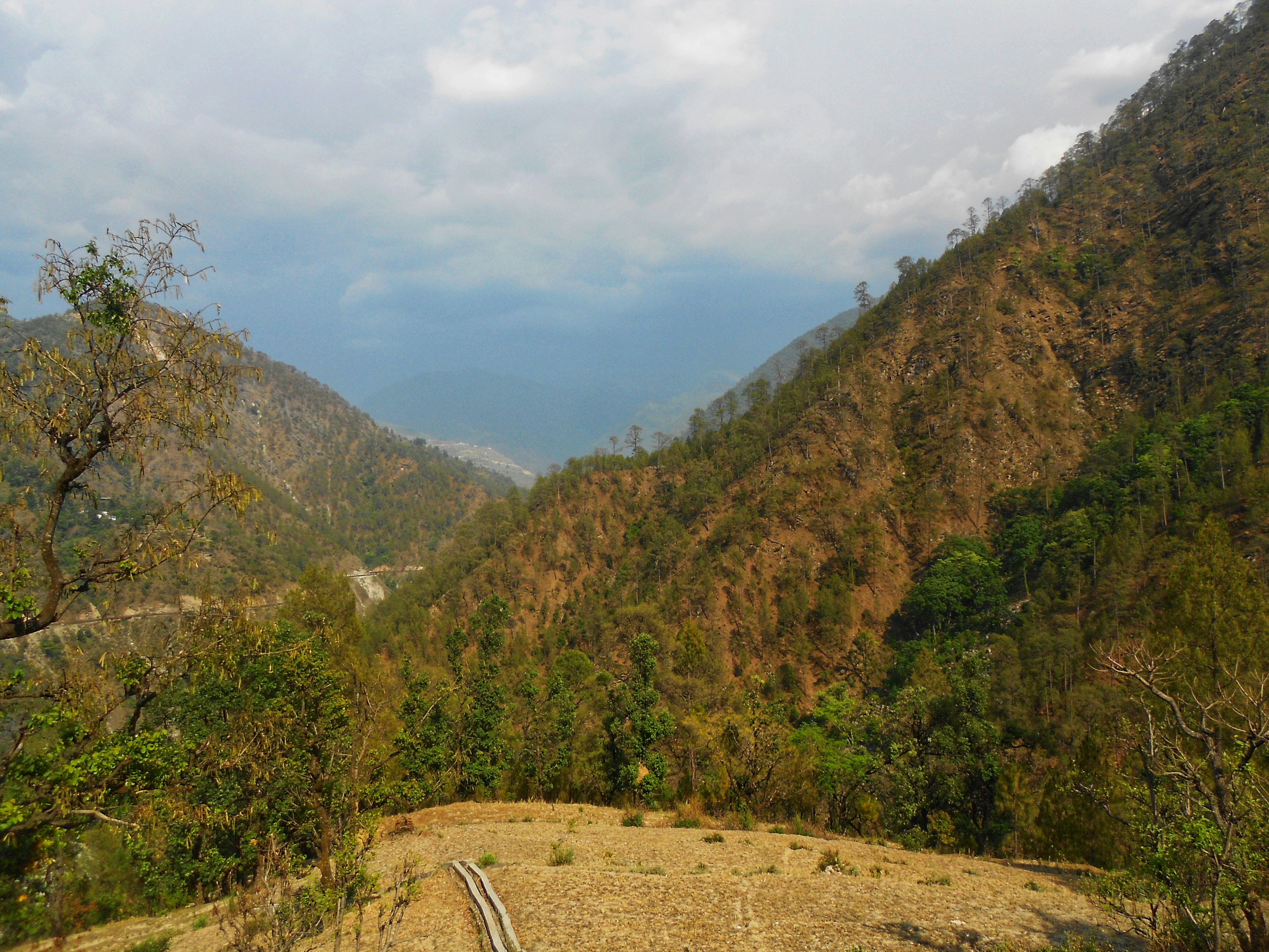 Photo by rishabh_tripathi