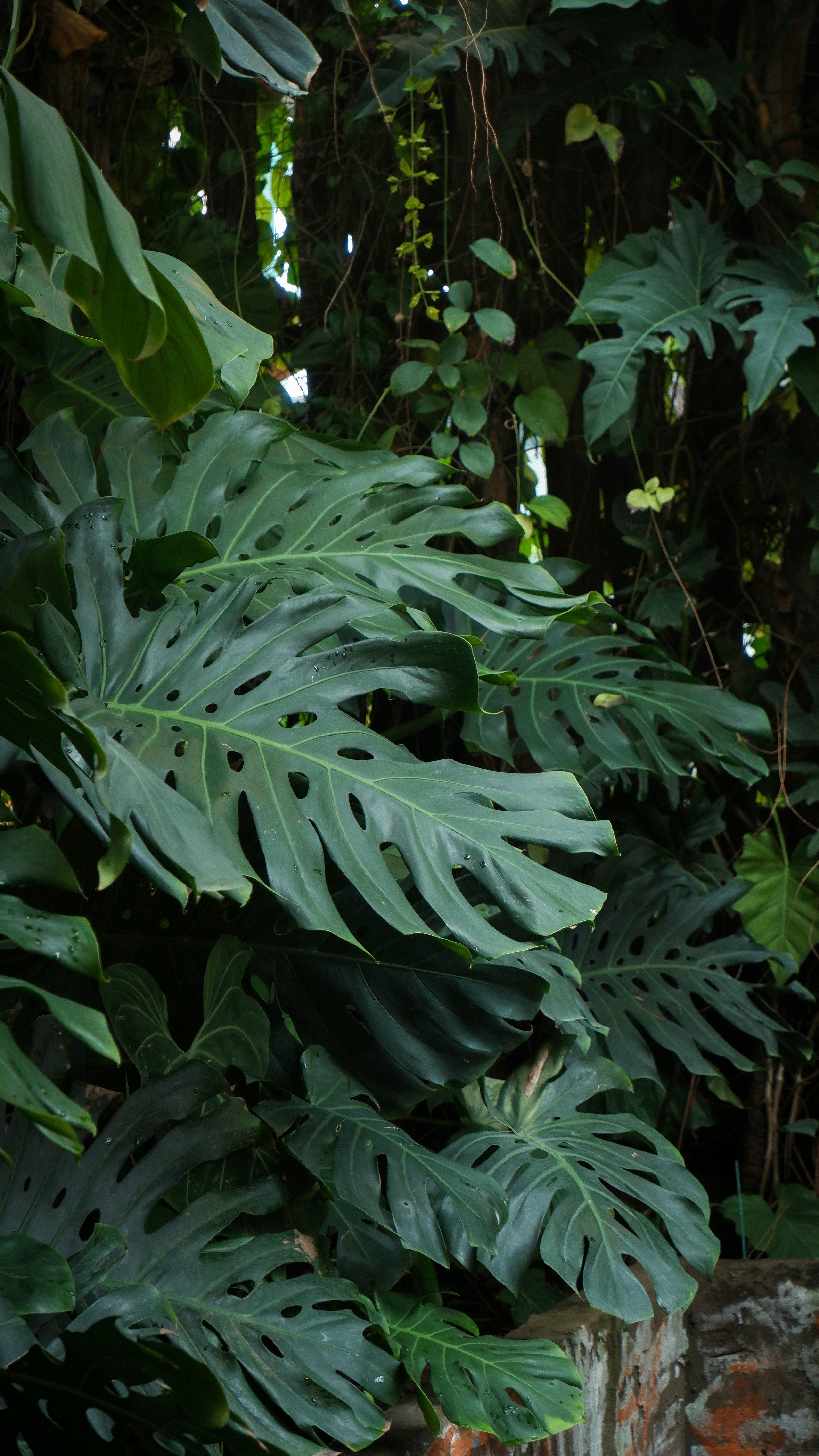 Photo by kimmie_tran