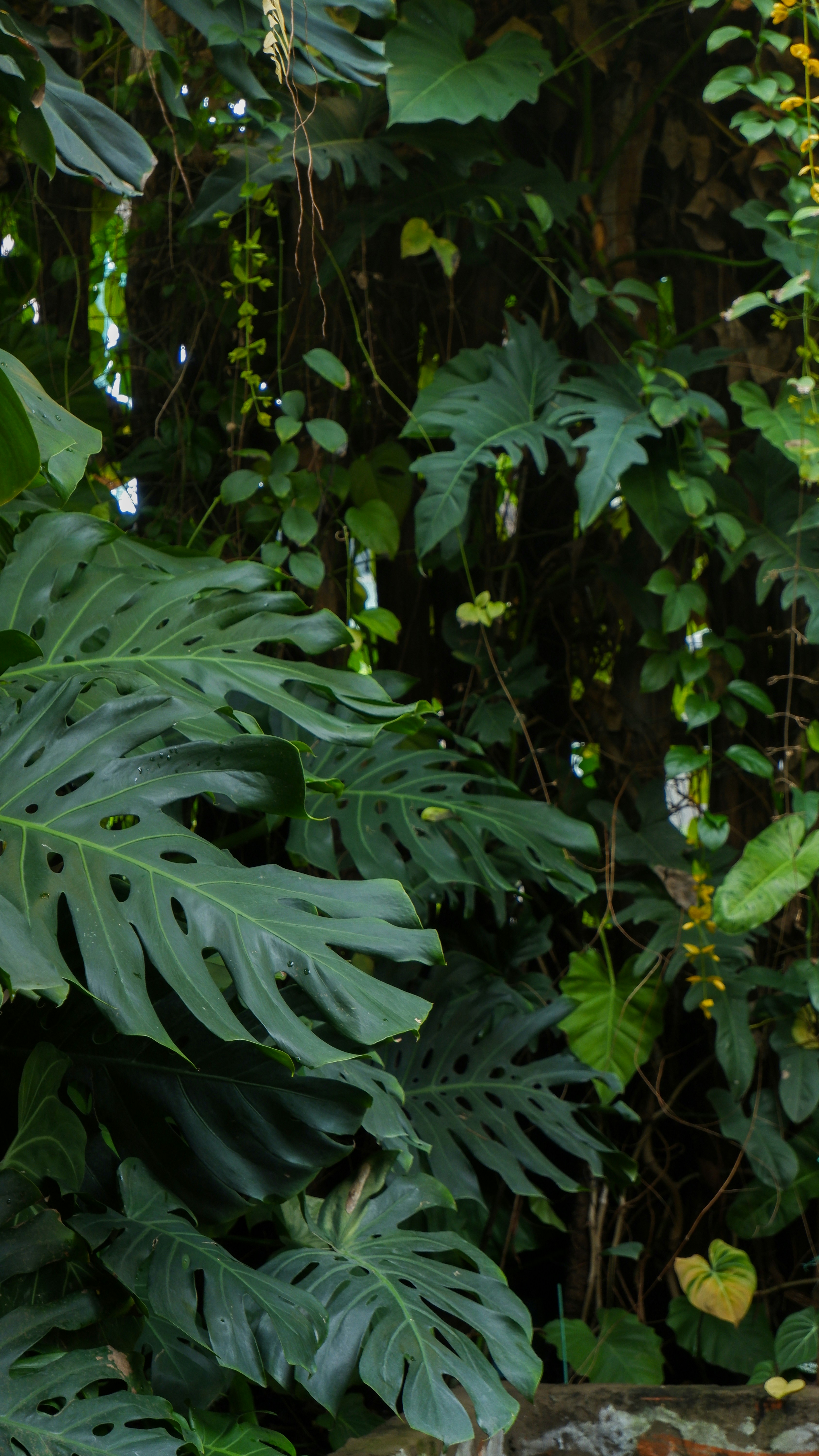 Photo by kimmie_tran