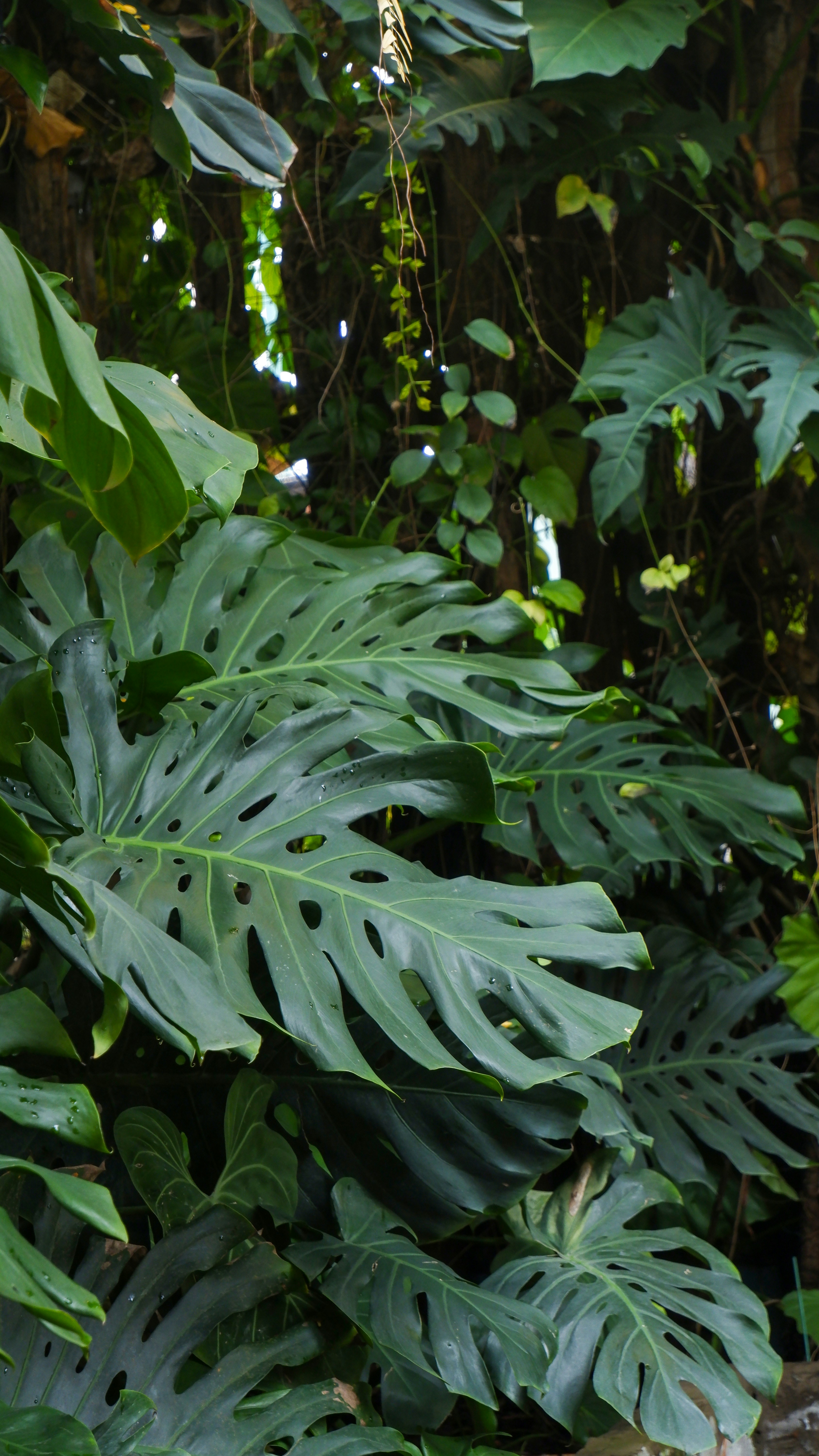 Photo by kimmie_tran