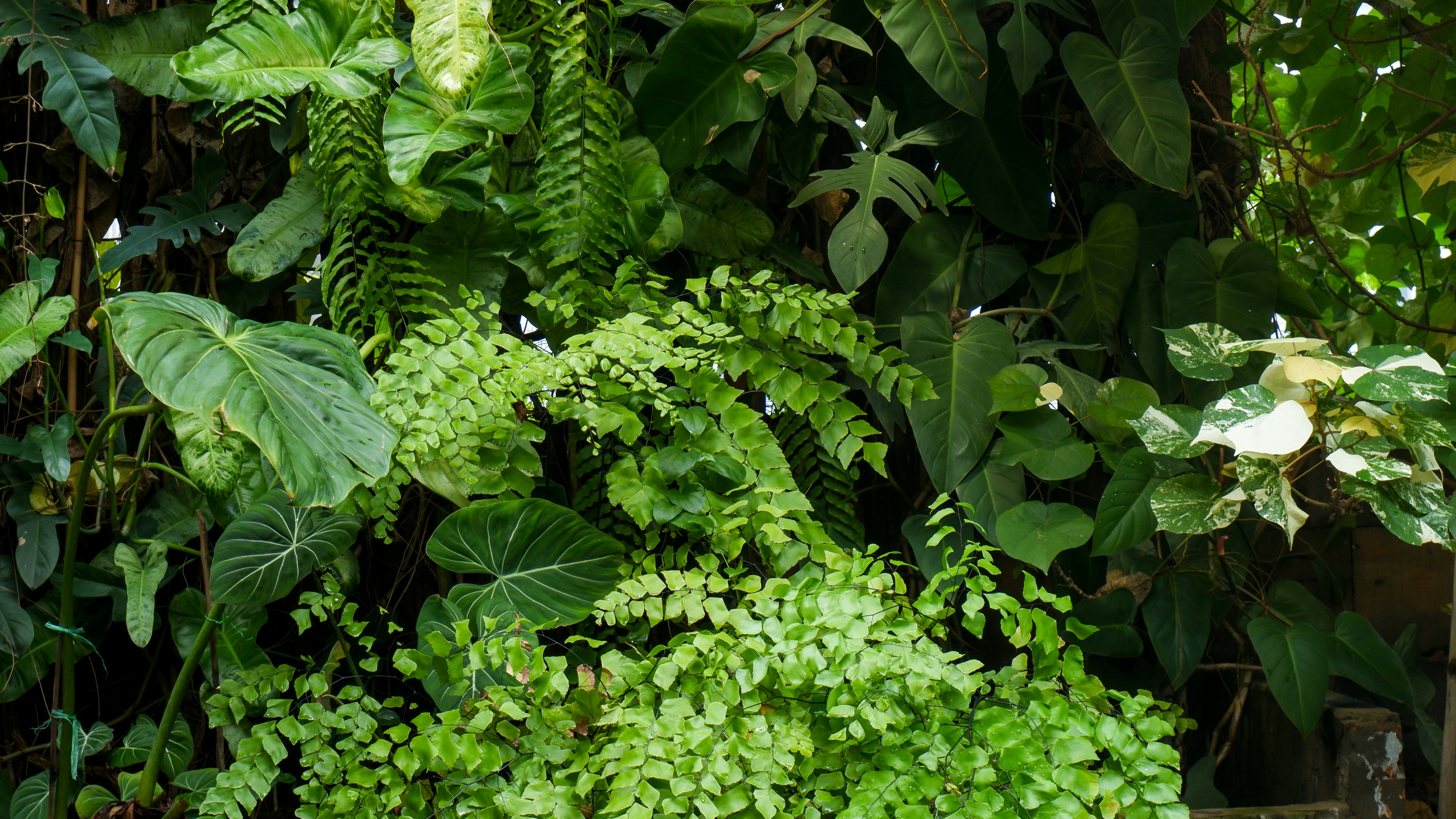 Photo by kimmie_tran