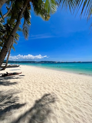 A sandy beach with palm trees and clear blue water