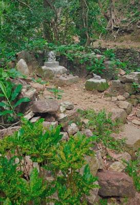 Rock garden