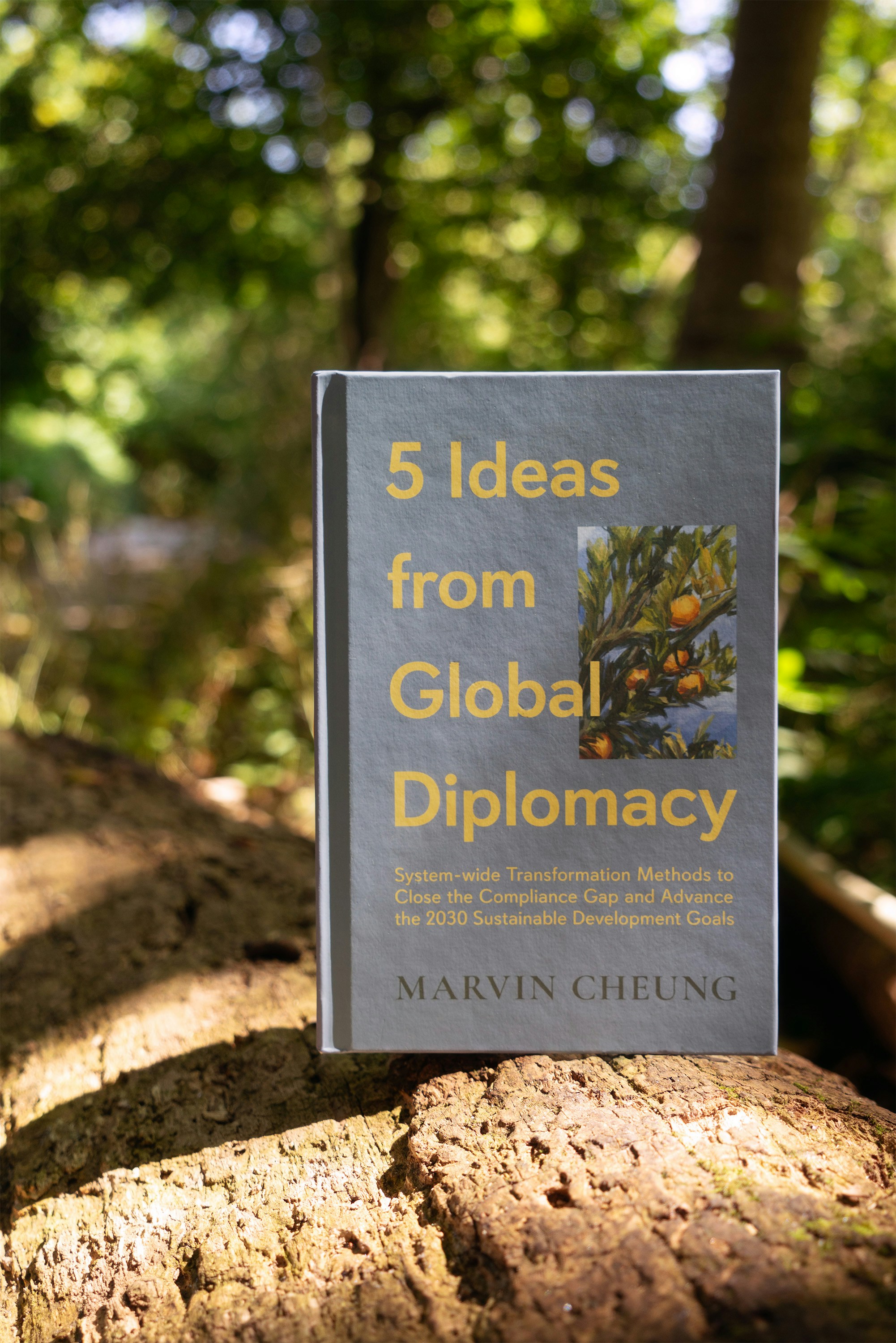 Entendiendo la Agenda 2030 Un - Photo 1722706731906 2163a06f3022