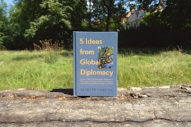 A book sitting on top of a tree stump